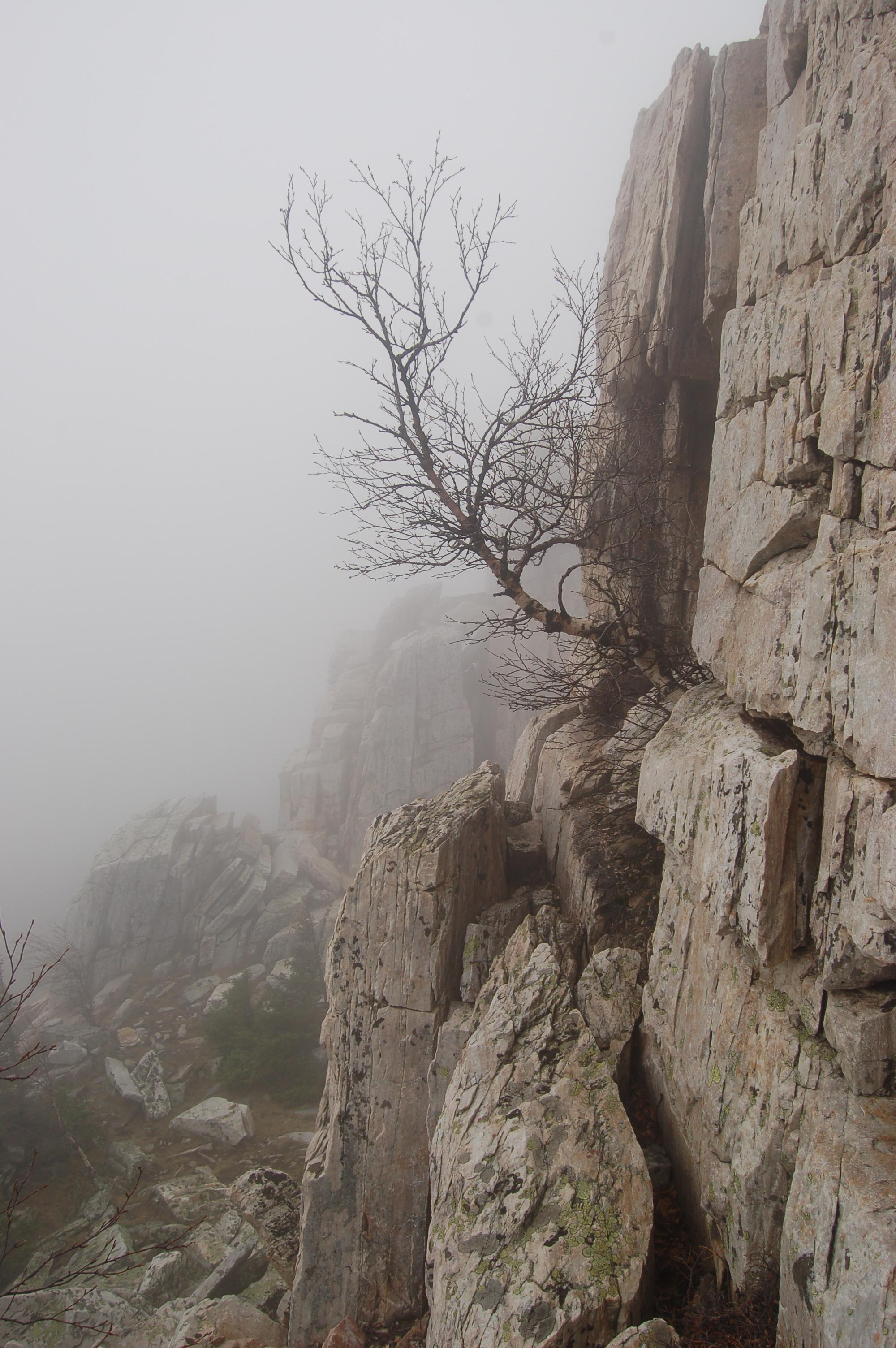 Гора Юрма. Фото и жизнь