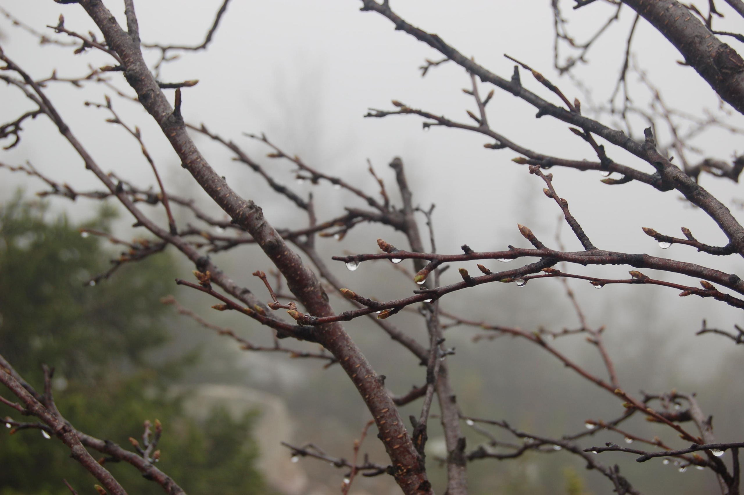 Гора Юрма. Фото и жизнь