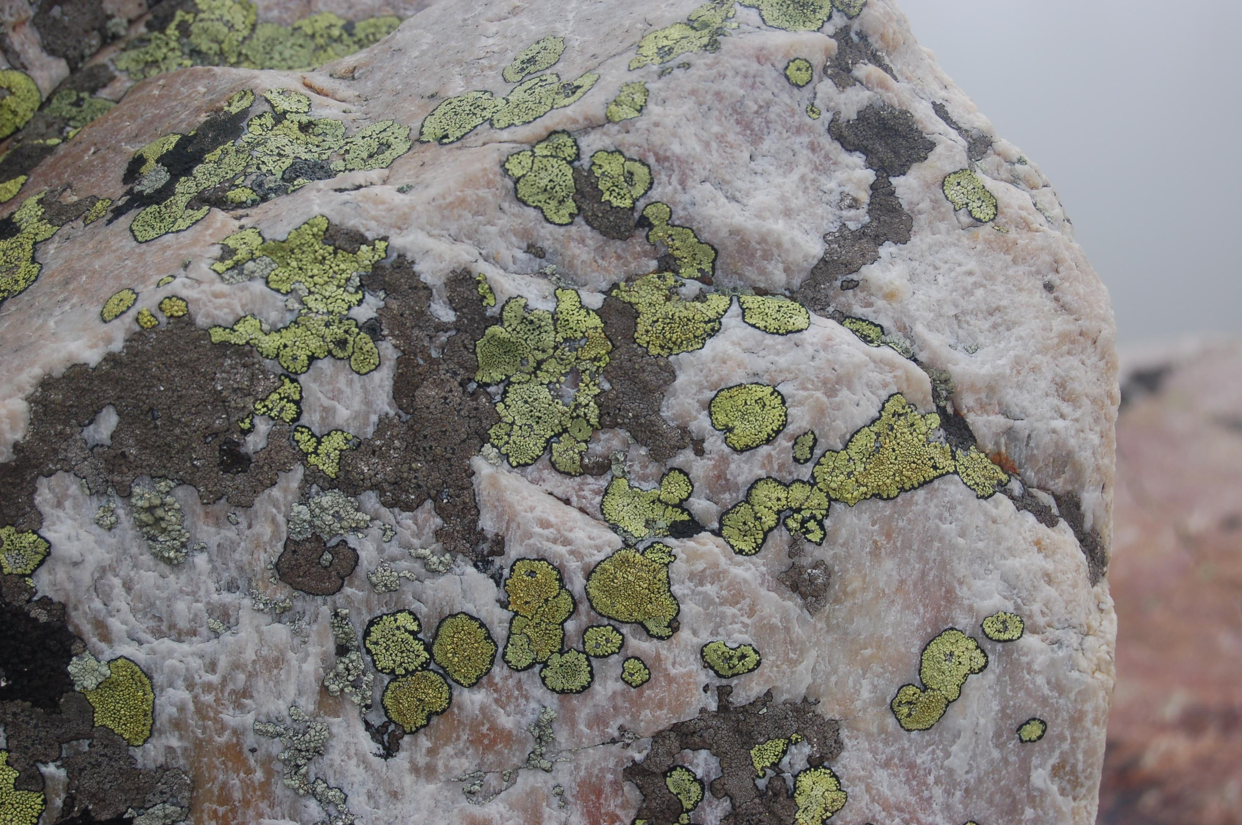 Гора Юрма. Фото и жизнь