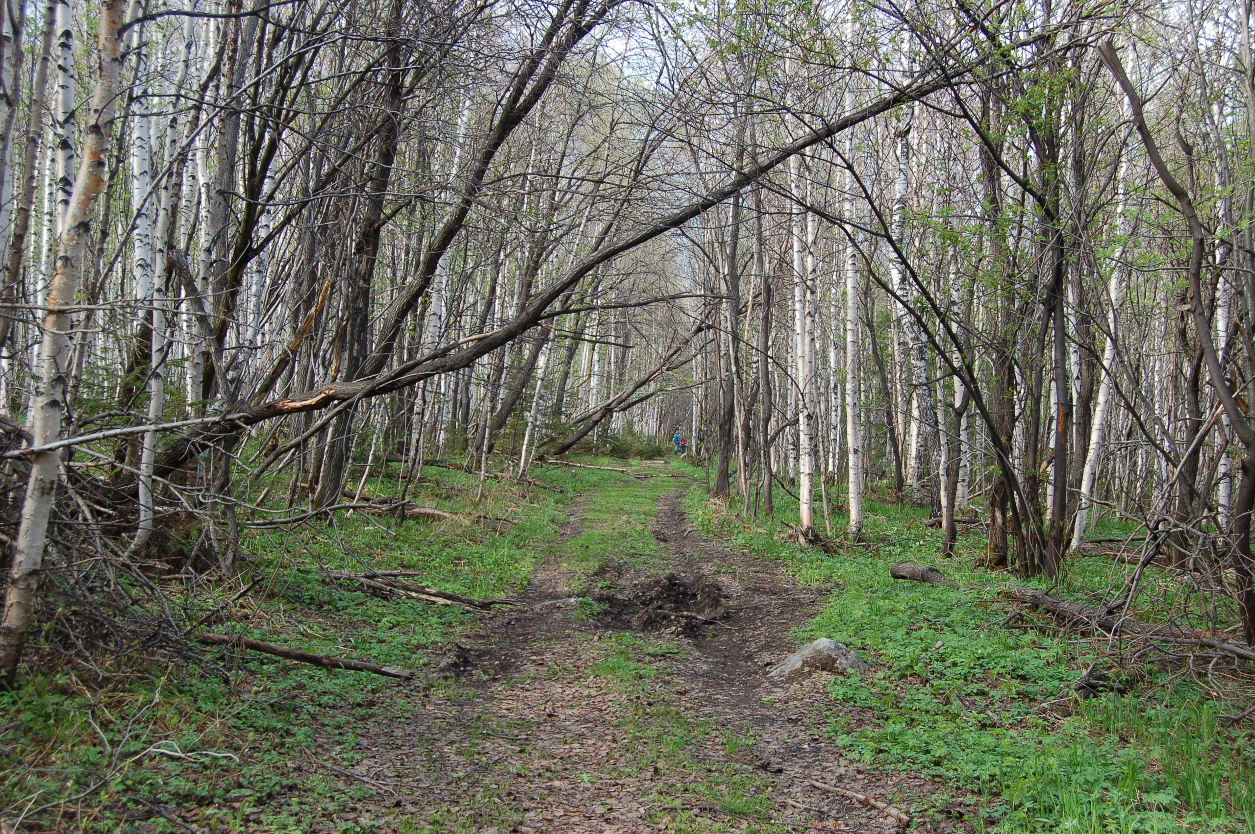 Гора Юрма. Фото и жизнь