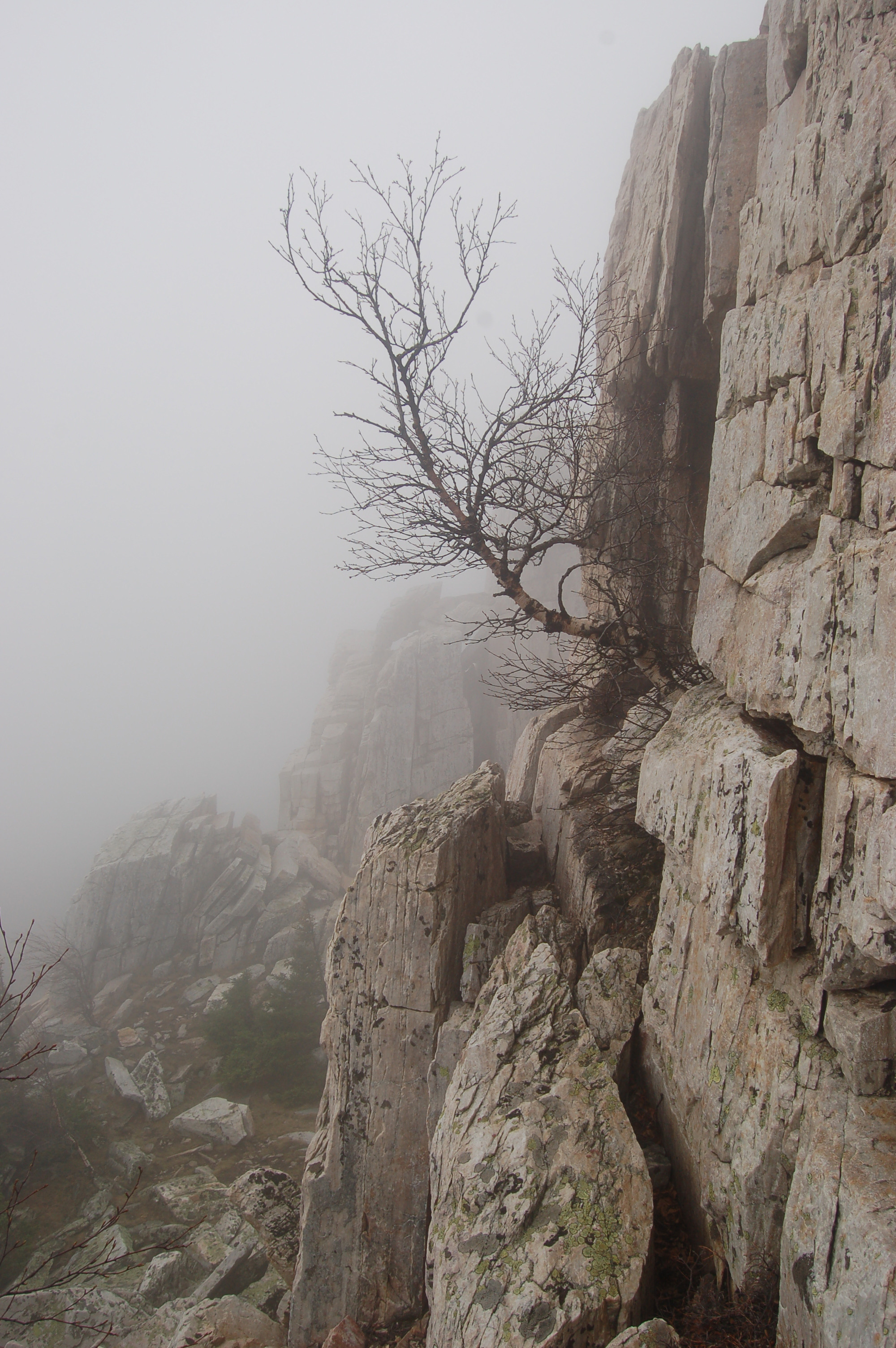 Гора Юрма. Фото и жизнь
