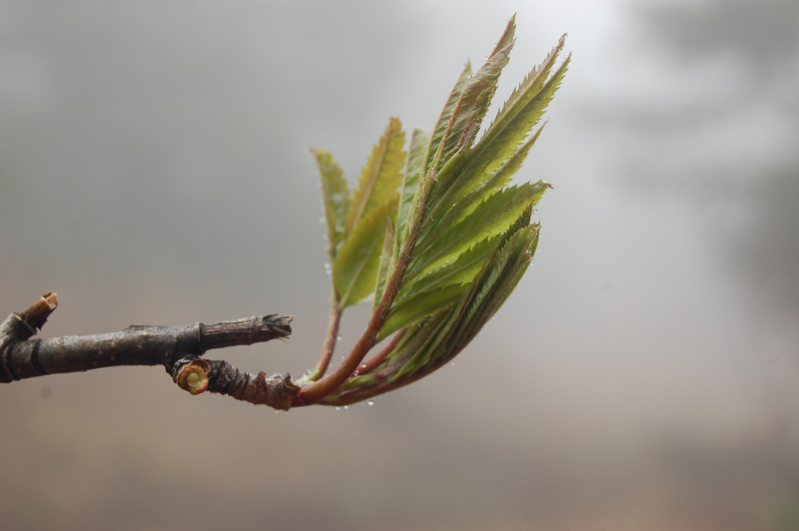 Гора Юрма. Фото и жизнь