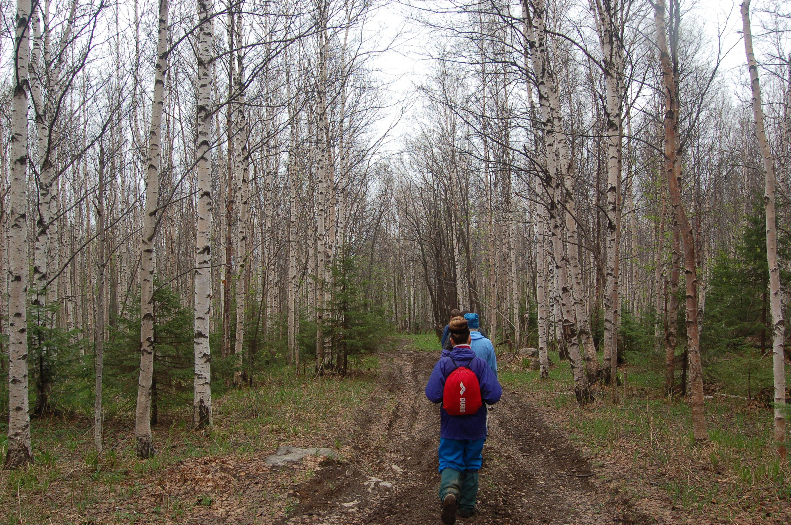 Гора Юрма. Фото и жизнь