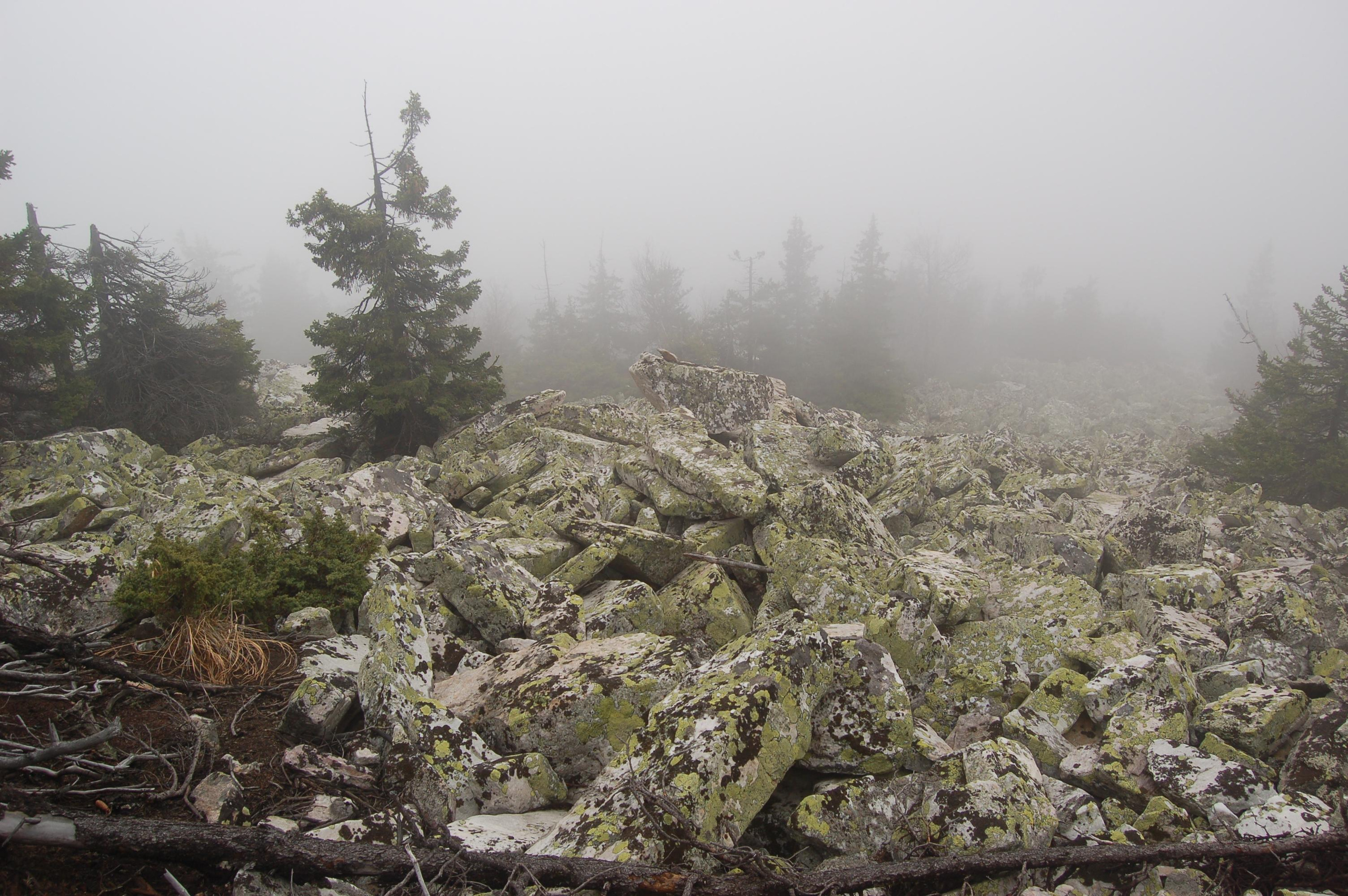 Гора Юрма. Фото и жизнь