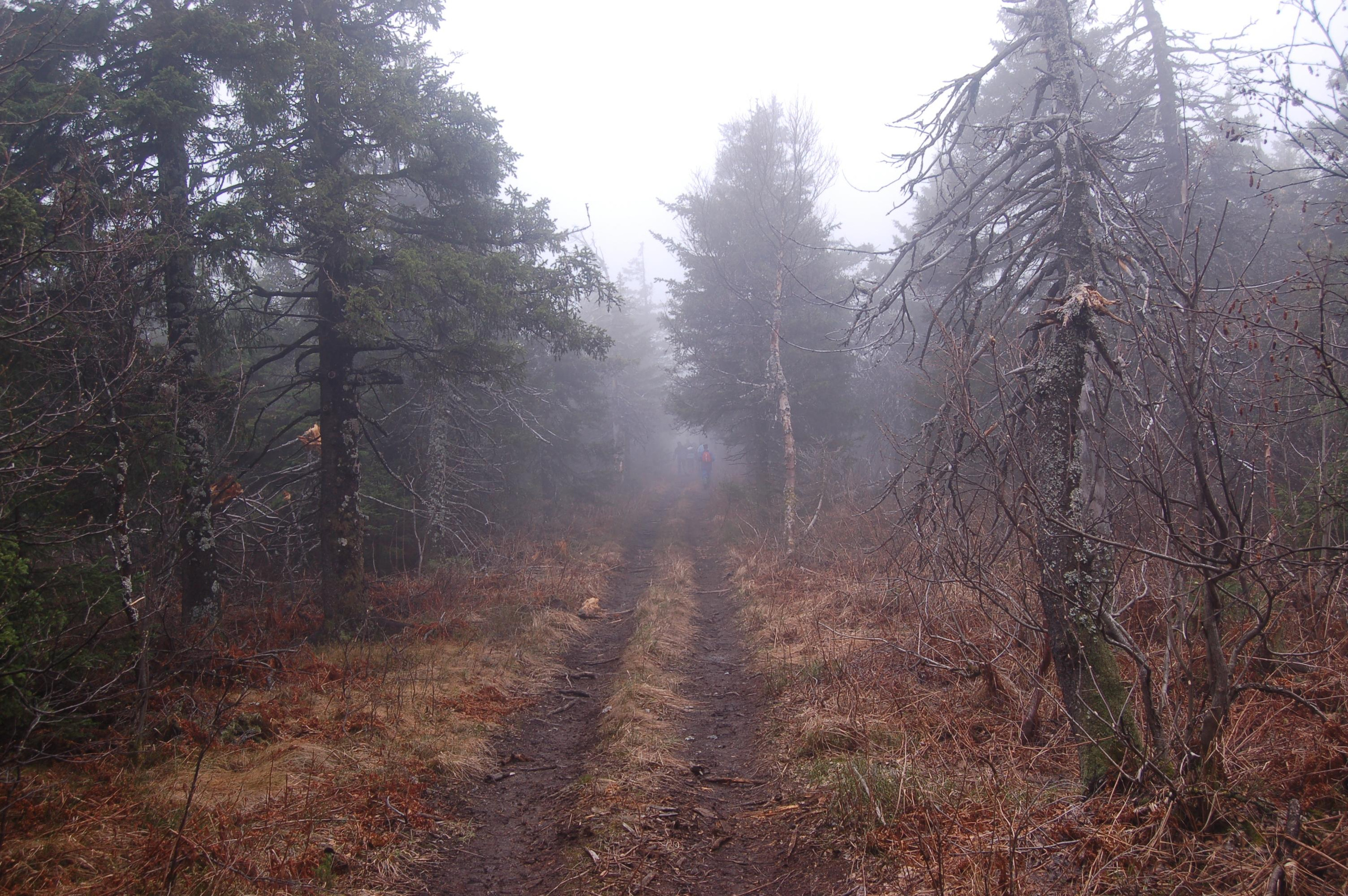 Гора Юрма. Фото и жизнь