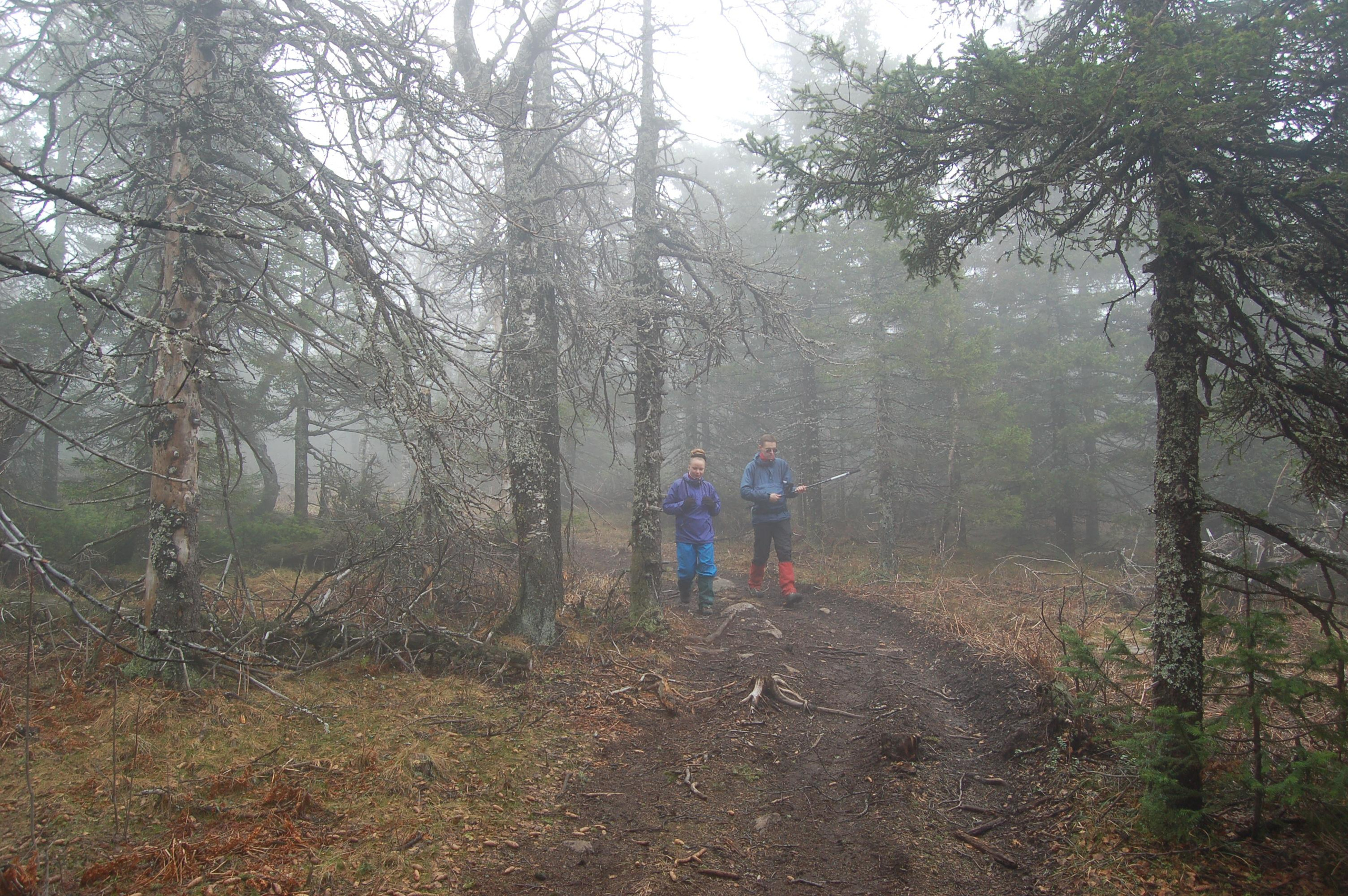 Гора Юрма. Фото и жизнь