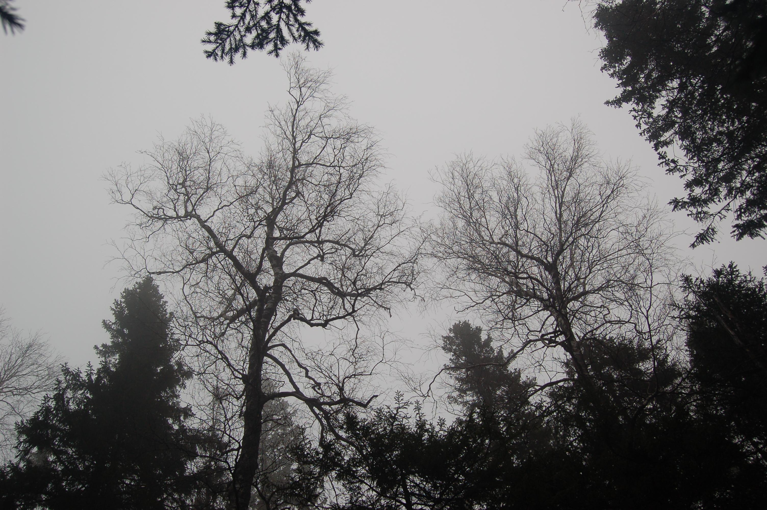 Гора Юрма. Фото и жизнь