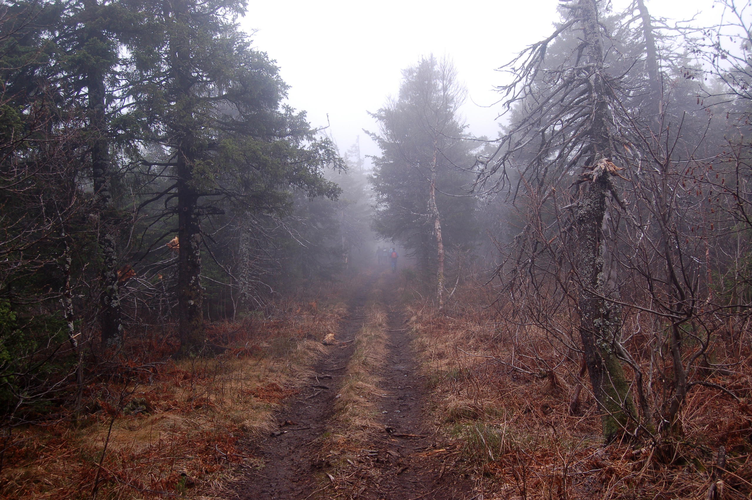 Гора Юрма. Фото и жизнь