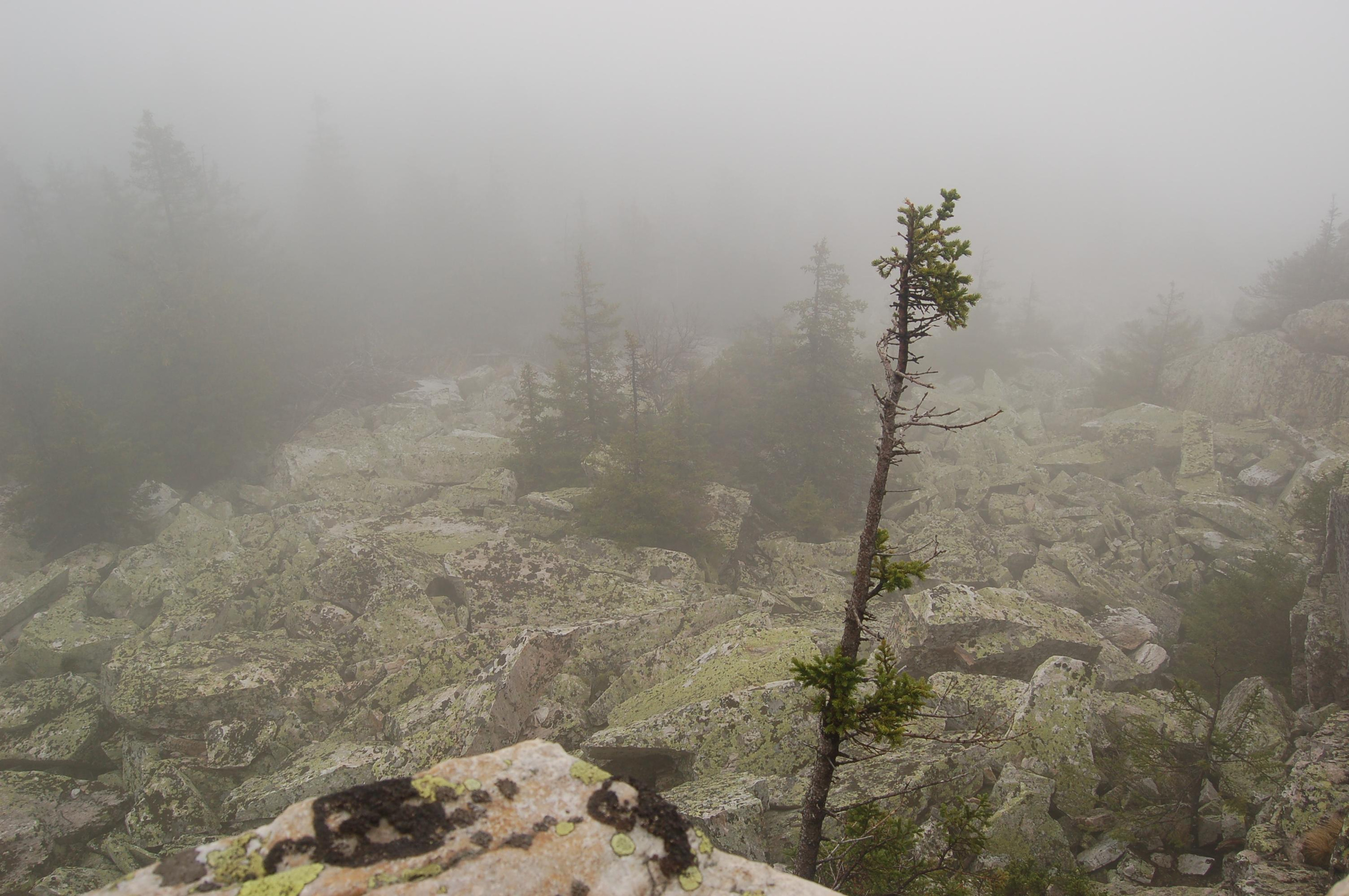 Гора Юрма. Фото и жизнь