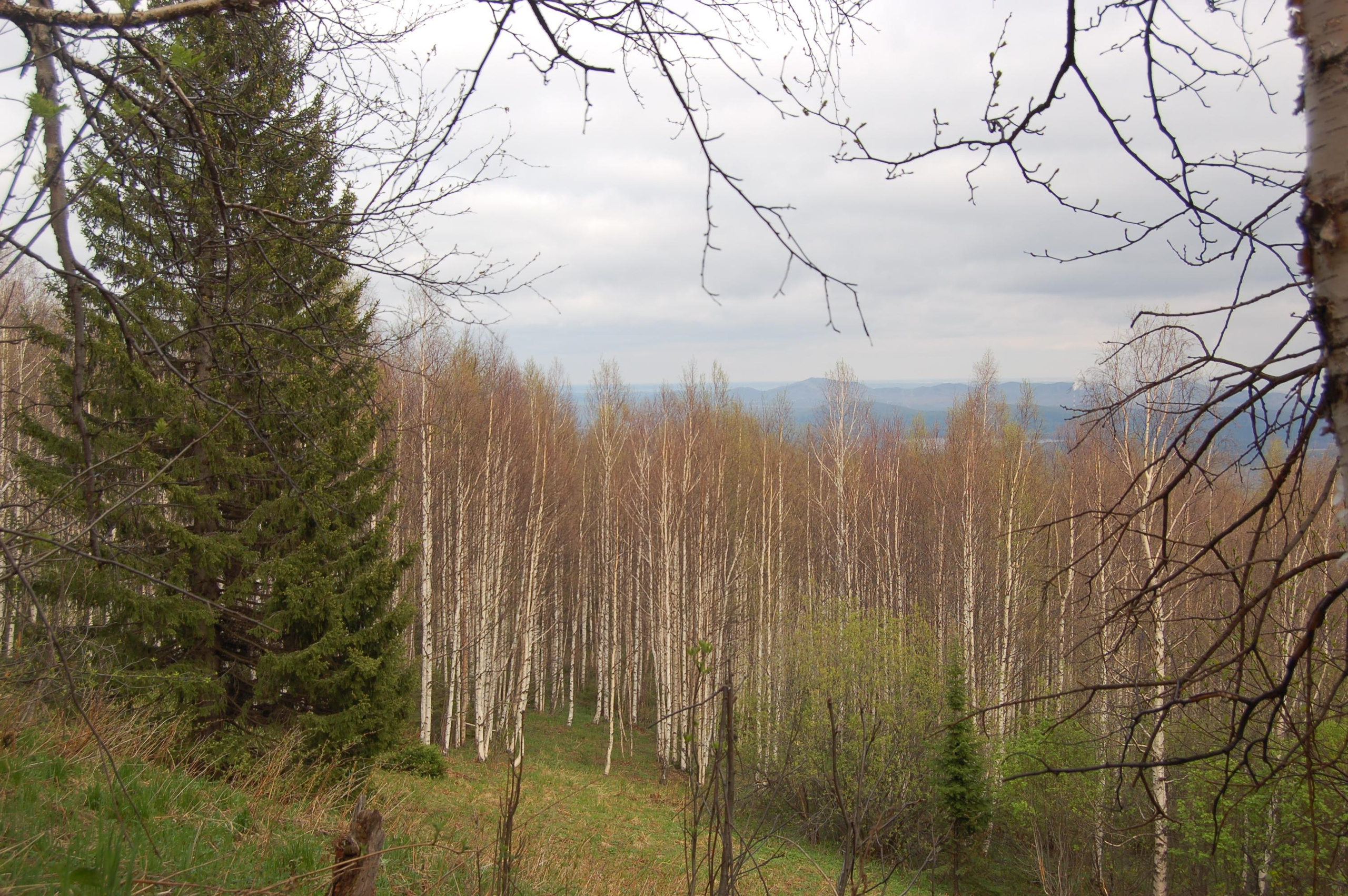 Гора Юрма. Фото и жизнь