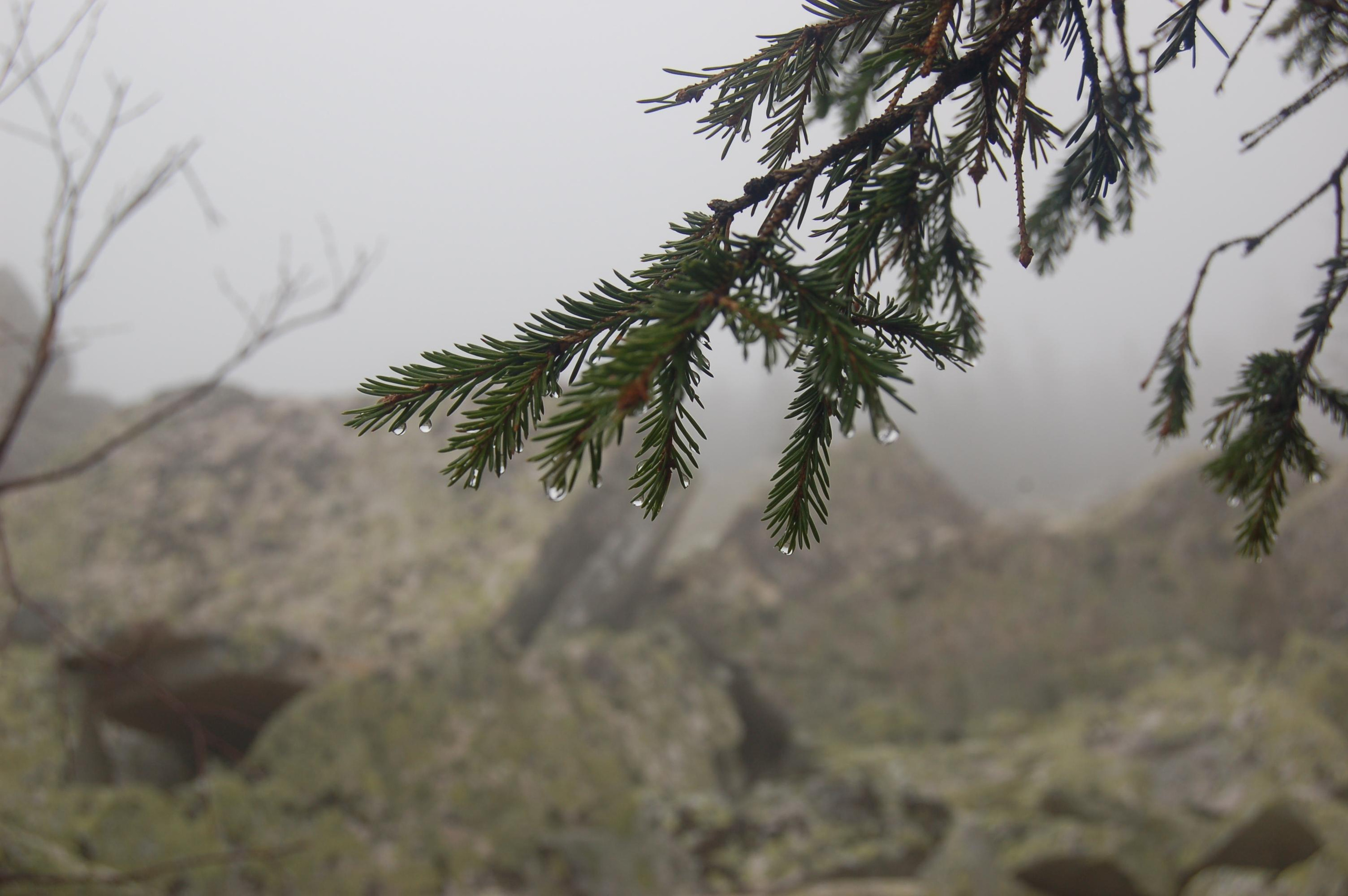 Гора Юрма. Фото и жизнь