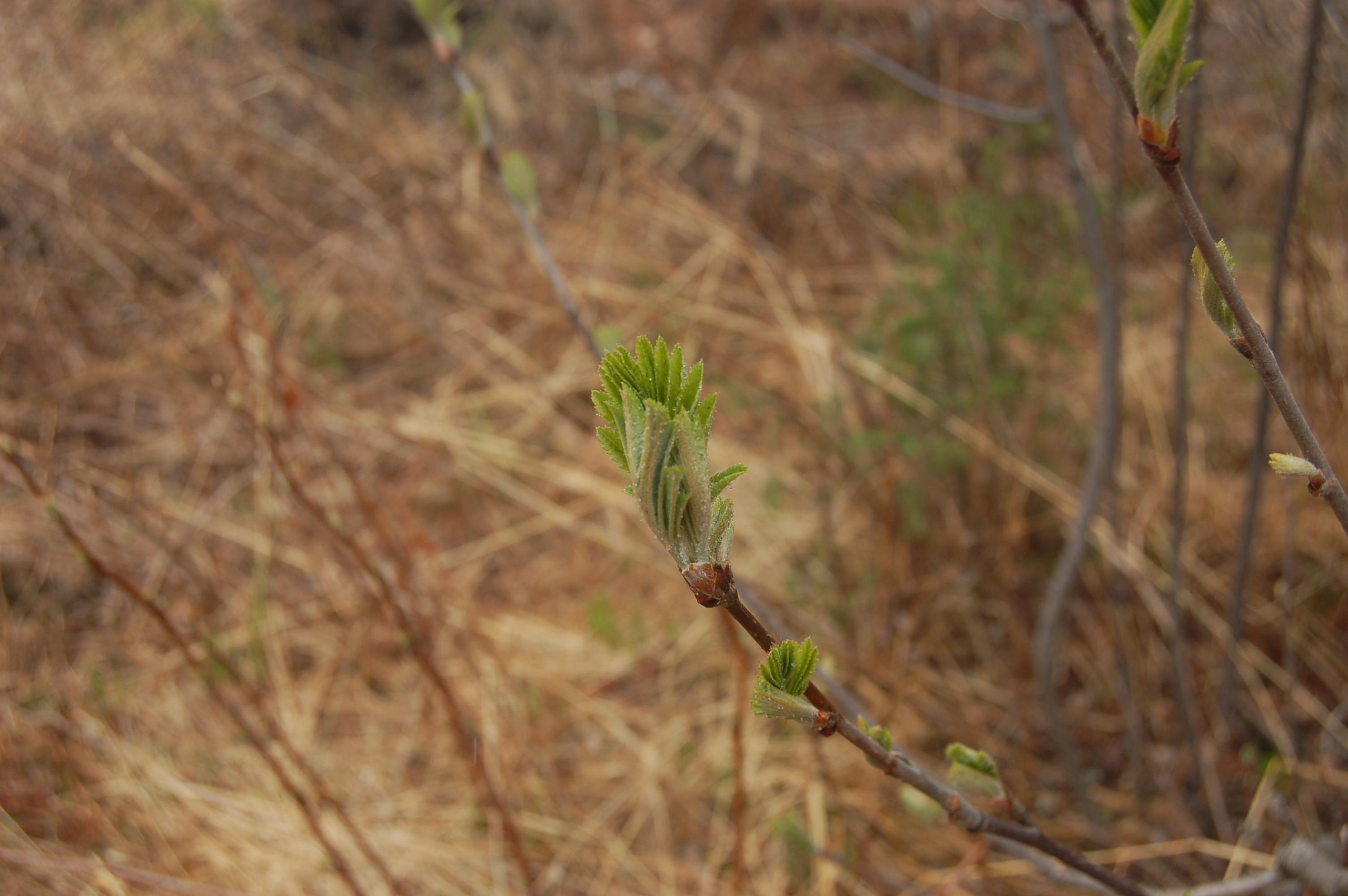 Гора Юрма. Фото и жизнь
