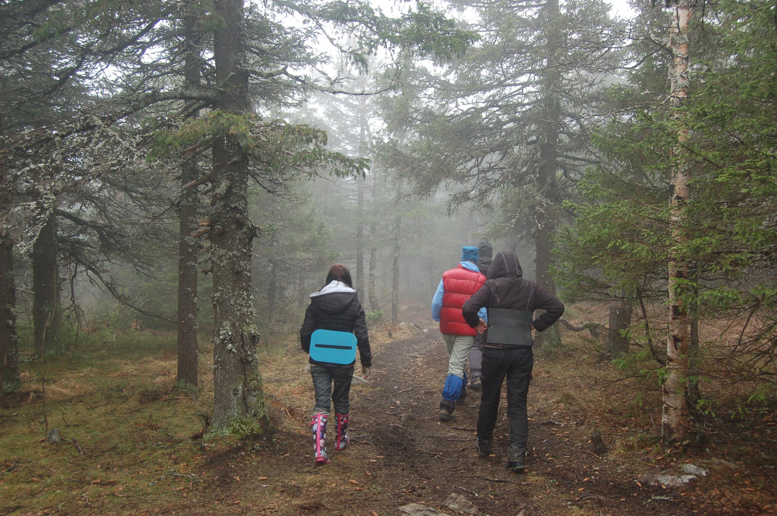 Гора Юрма. Фото и жизнь