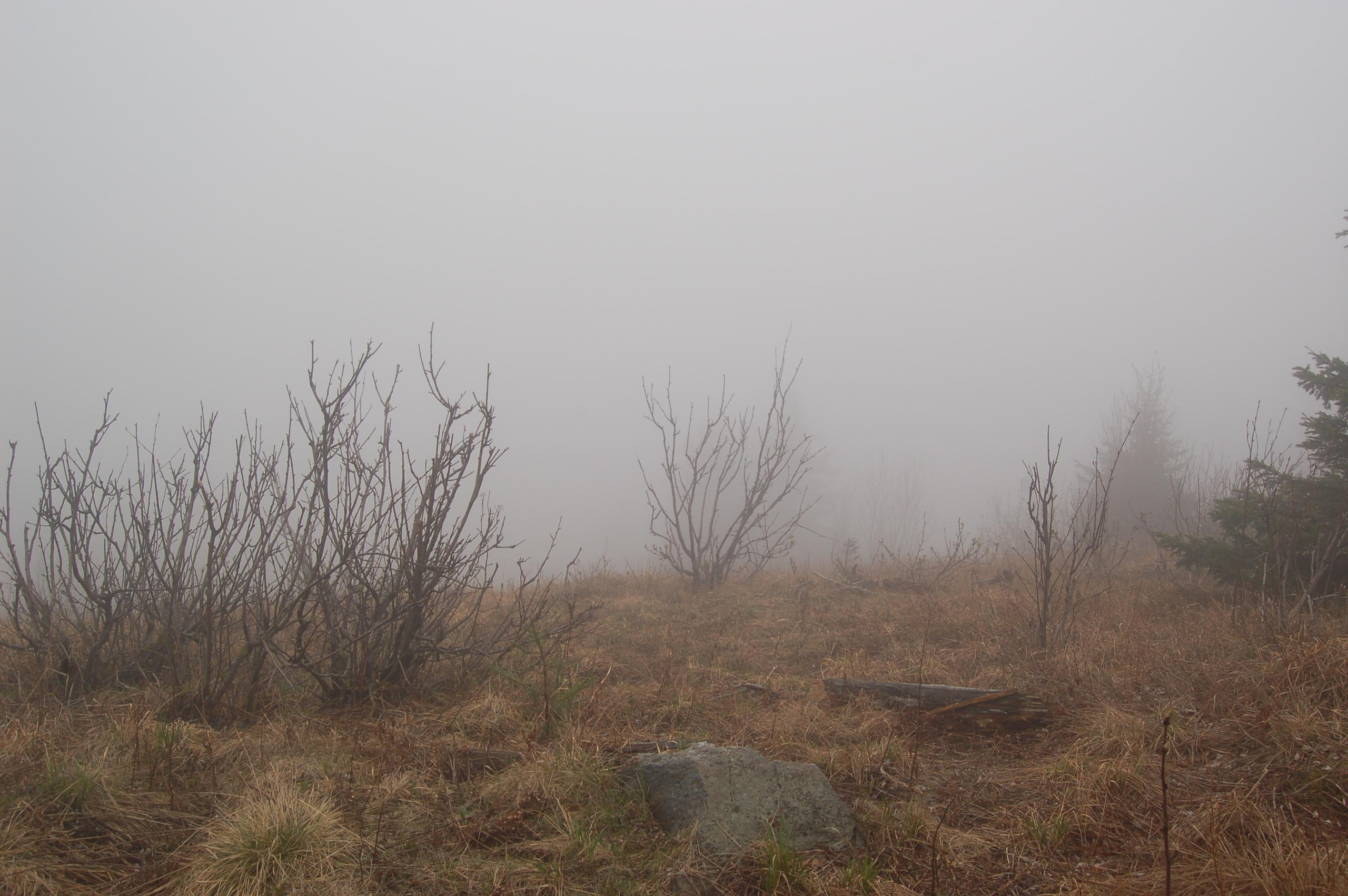 Гора Юрма. Фото и жизнь