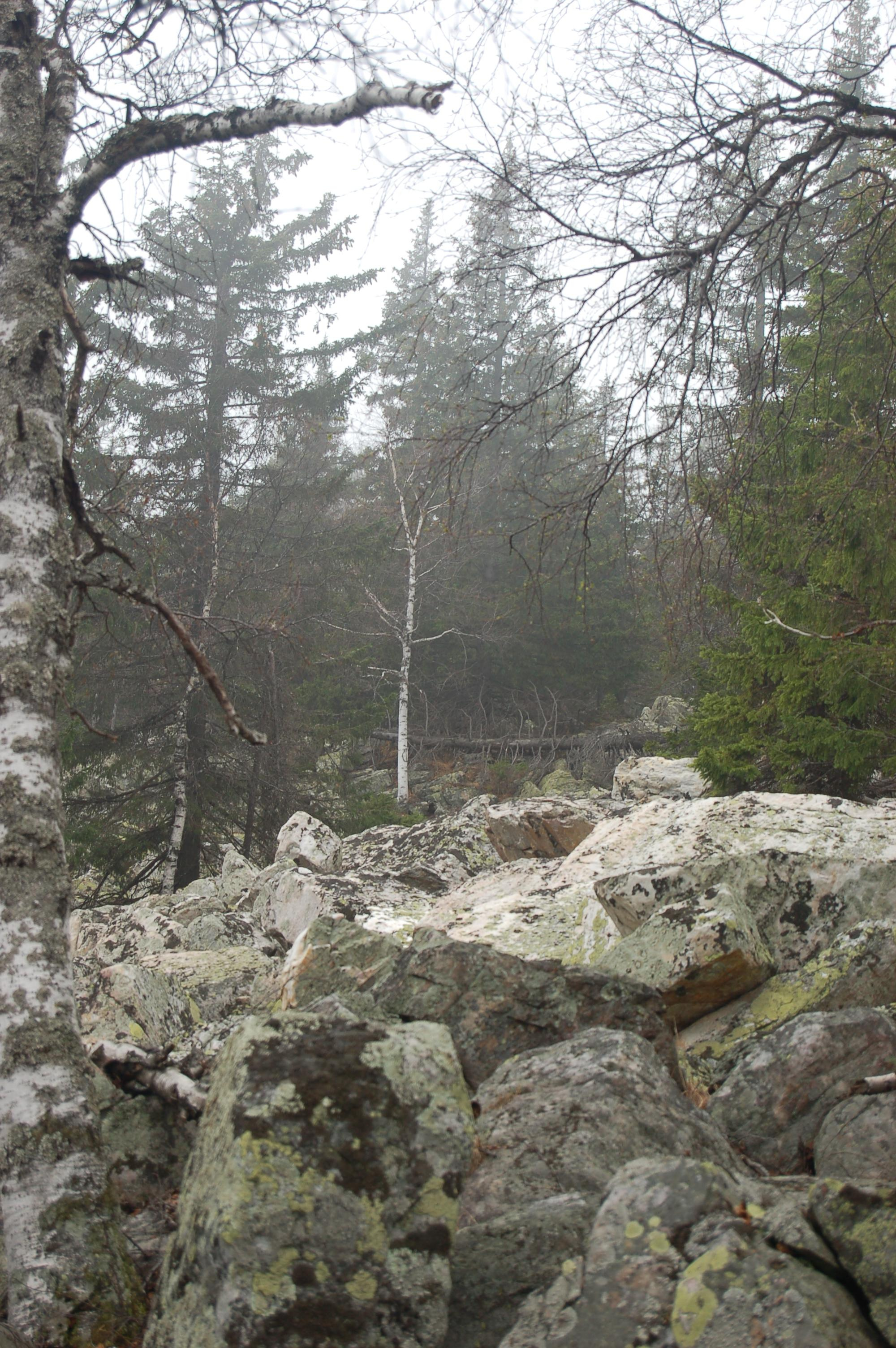 Гора Юрма. Фото и жизнь