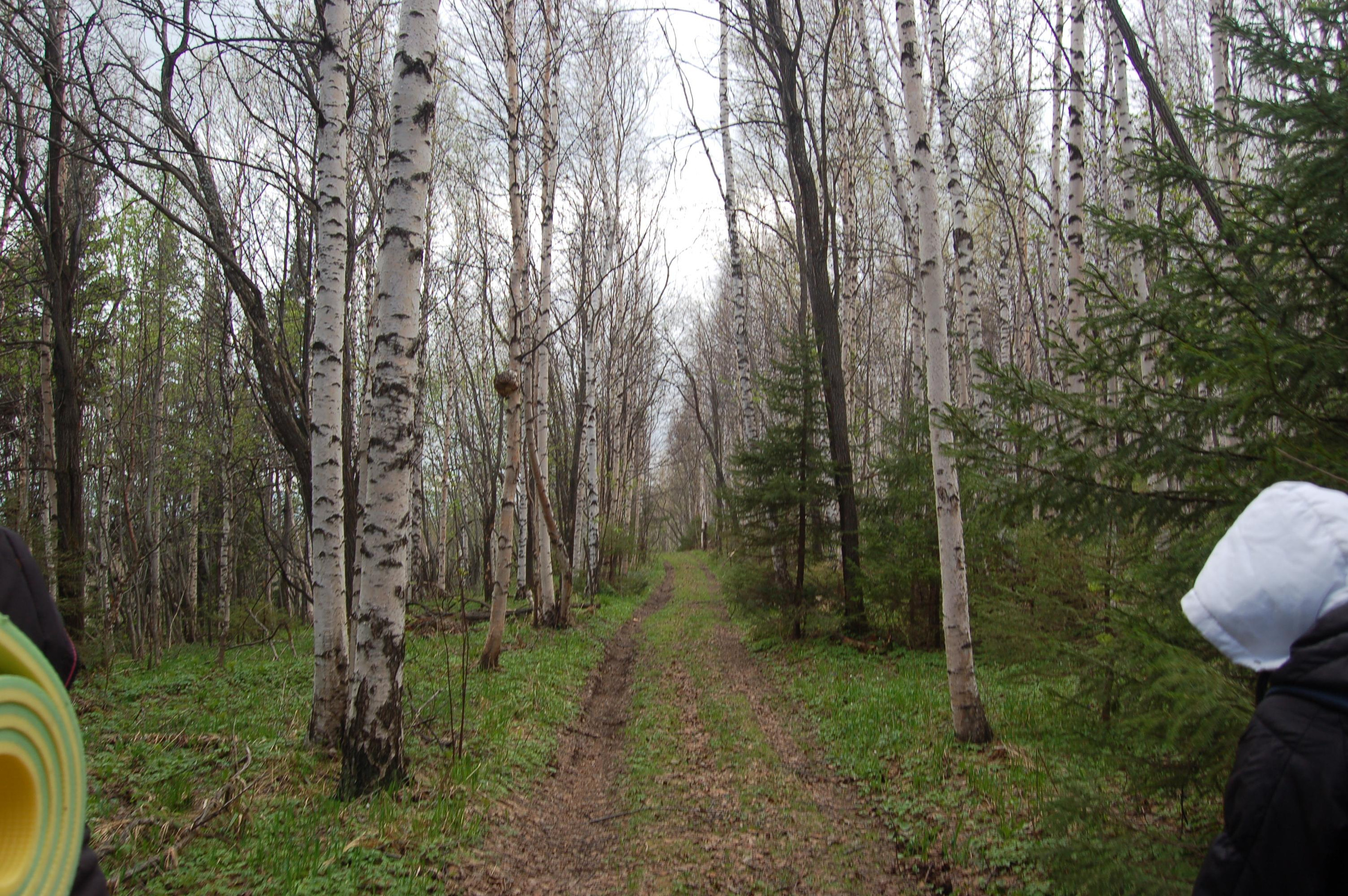 Гора Юрма. Фото и жизнь