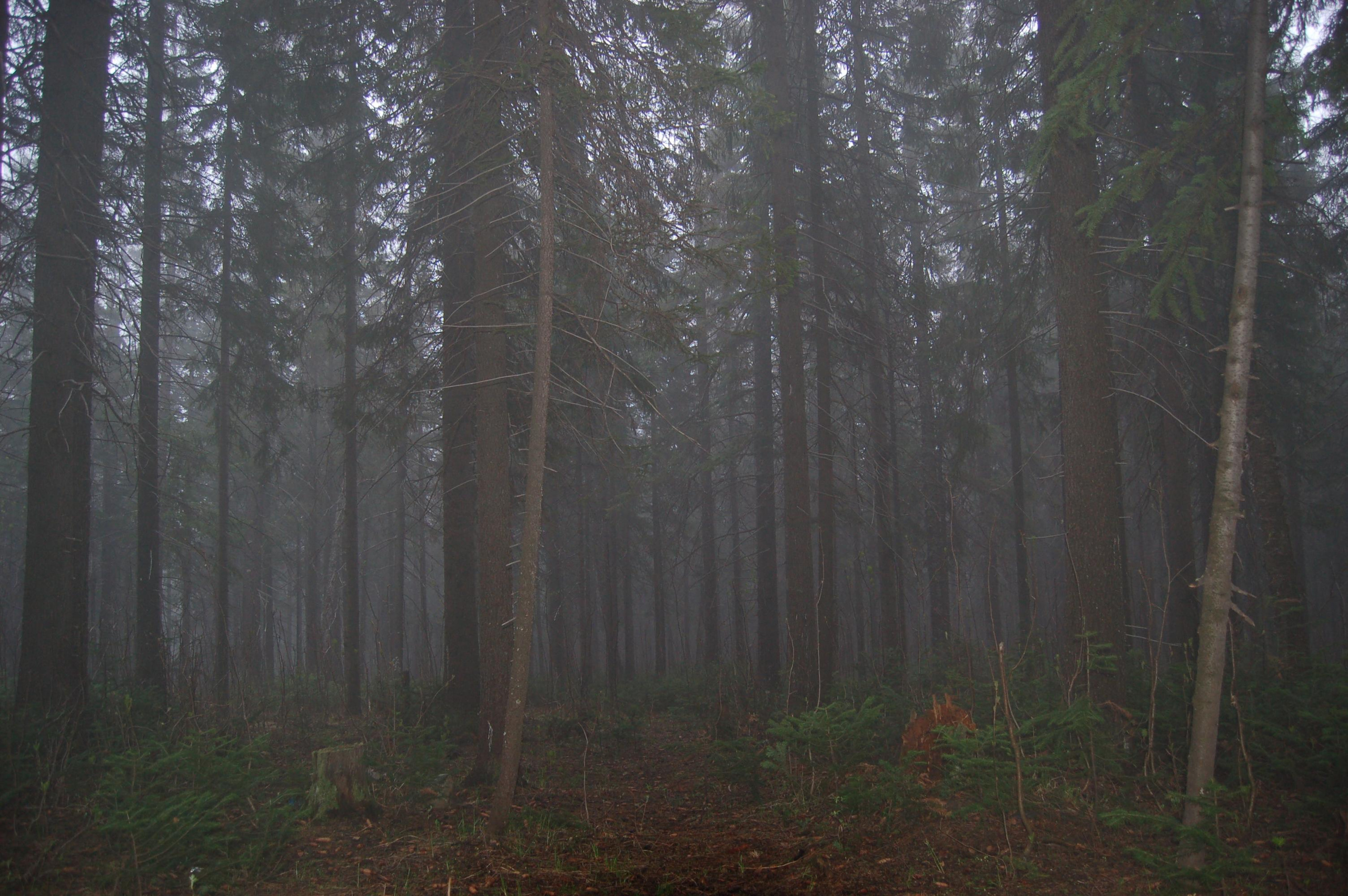 Гора Юрма. Фото и жизнь