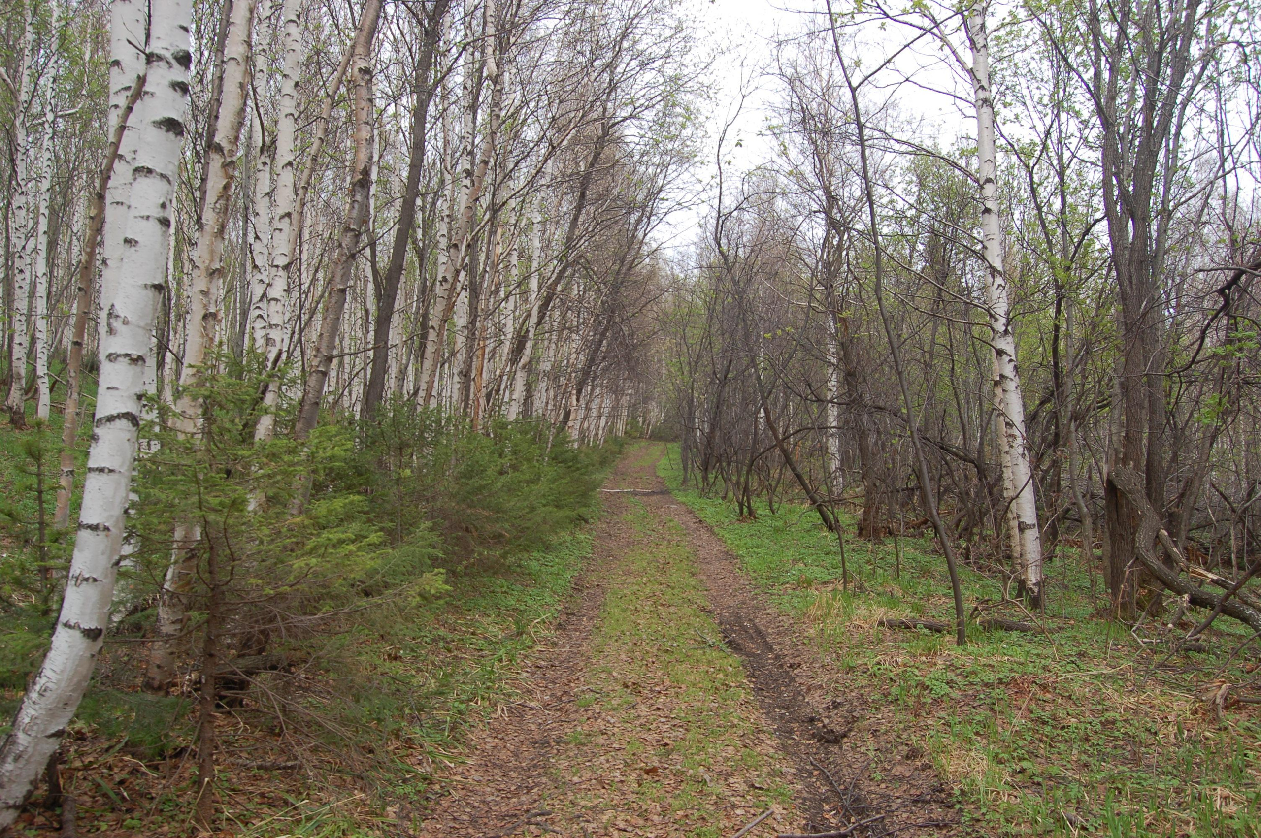 Гора Юрма. Фото и жизнь