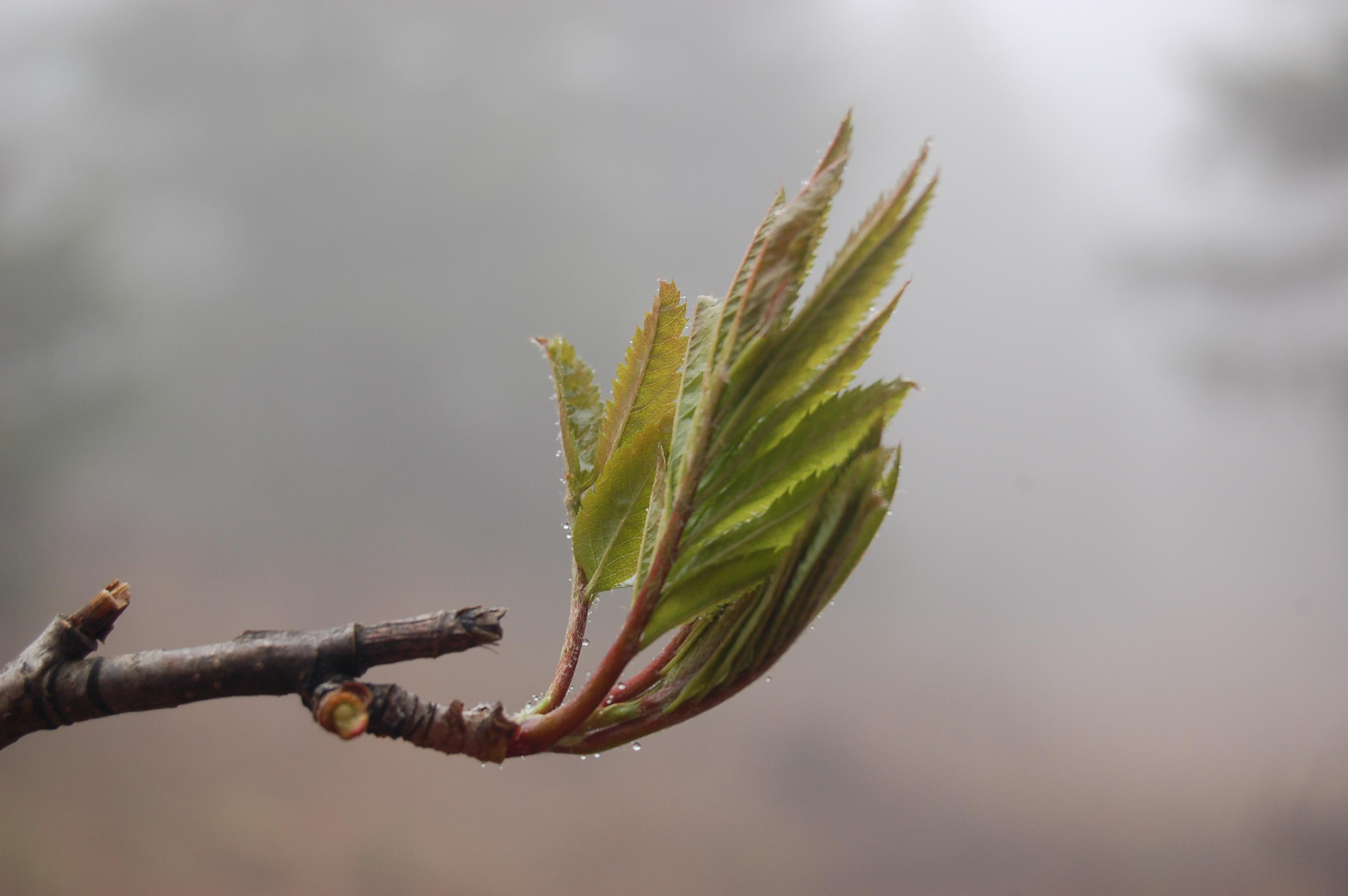 Гора Юрма. Фото и жизнь