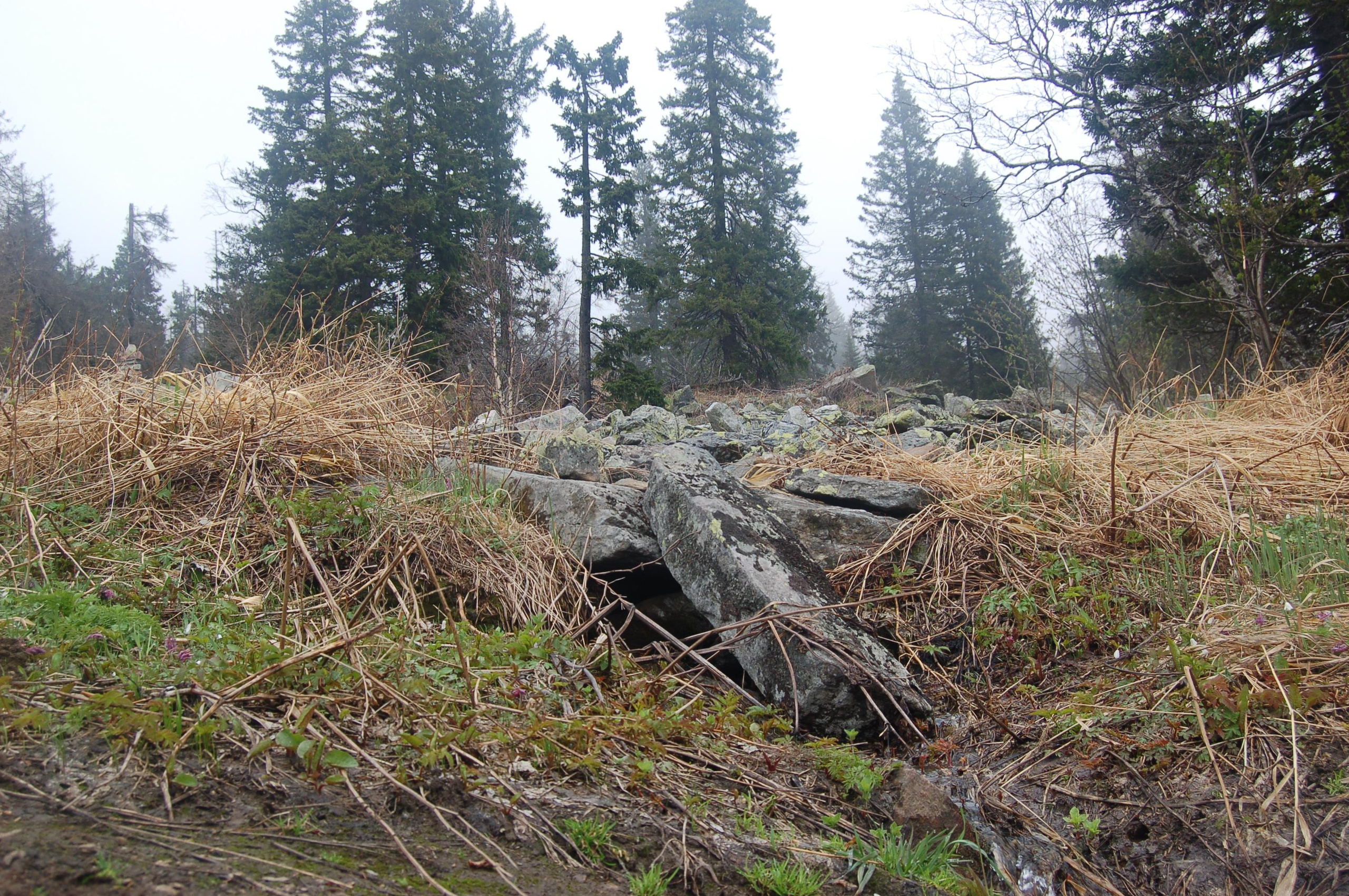 Гора Юрма. Фото и жизнь