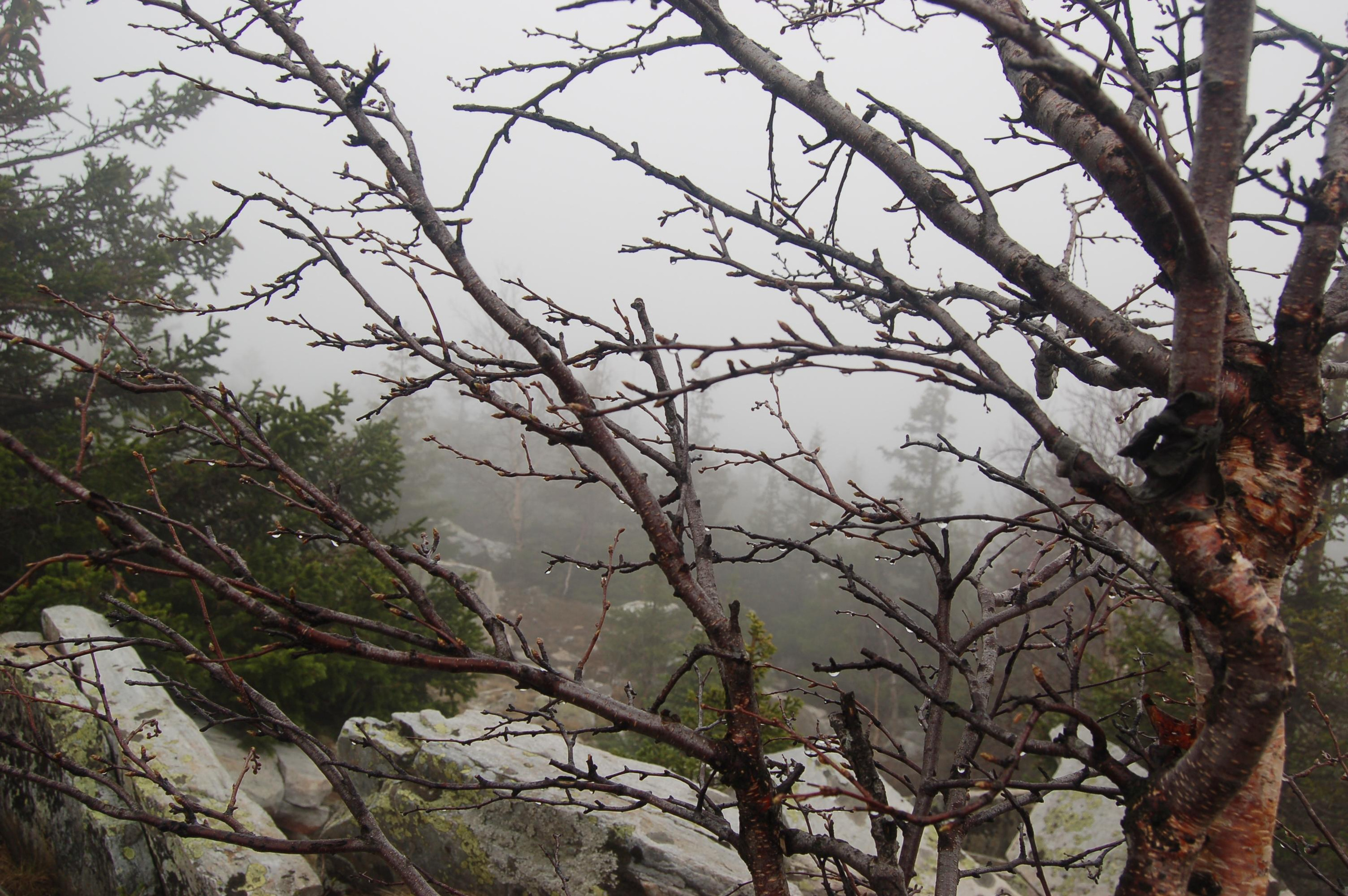 Гора Юрма. Фото и жизнь