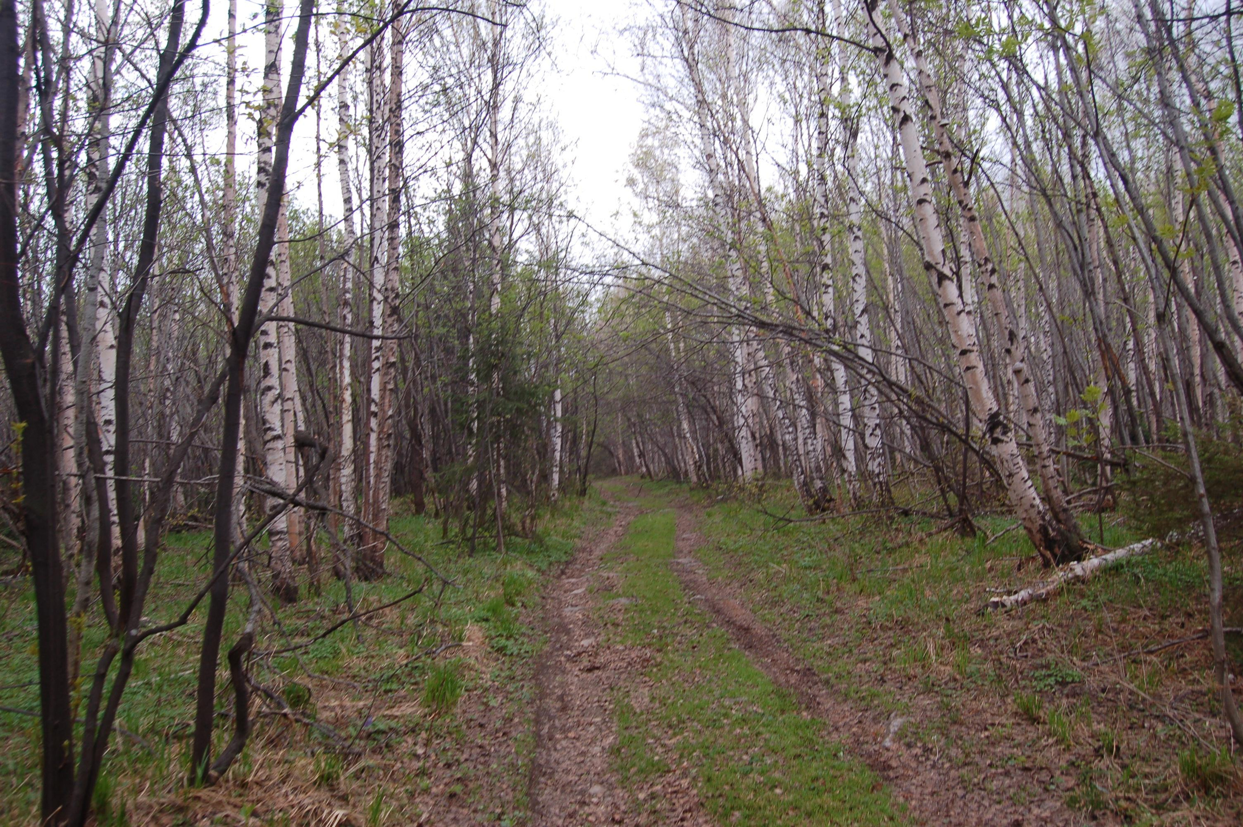 Гора Юрма. Фото и жизнь