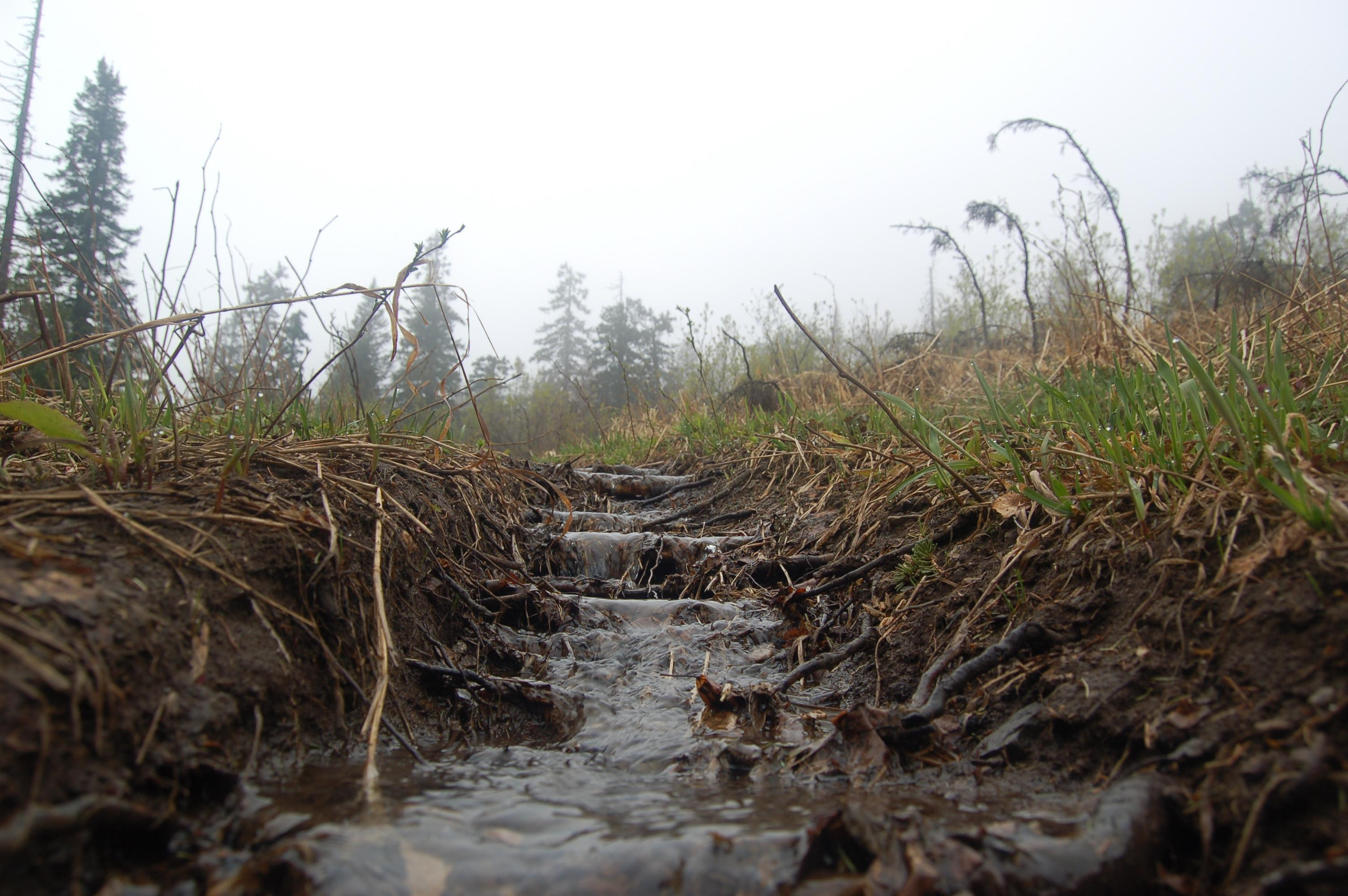 Гора Юрма. Фото и жизнь