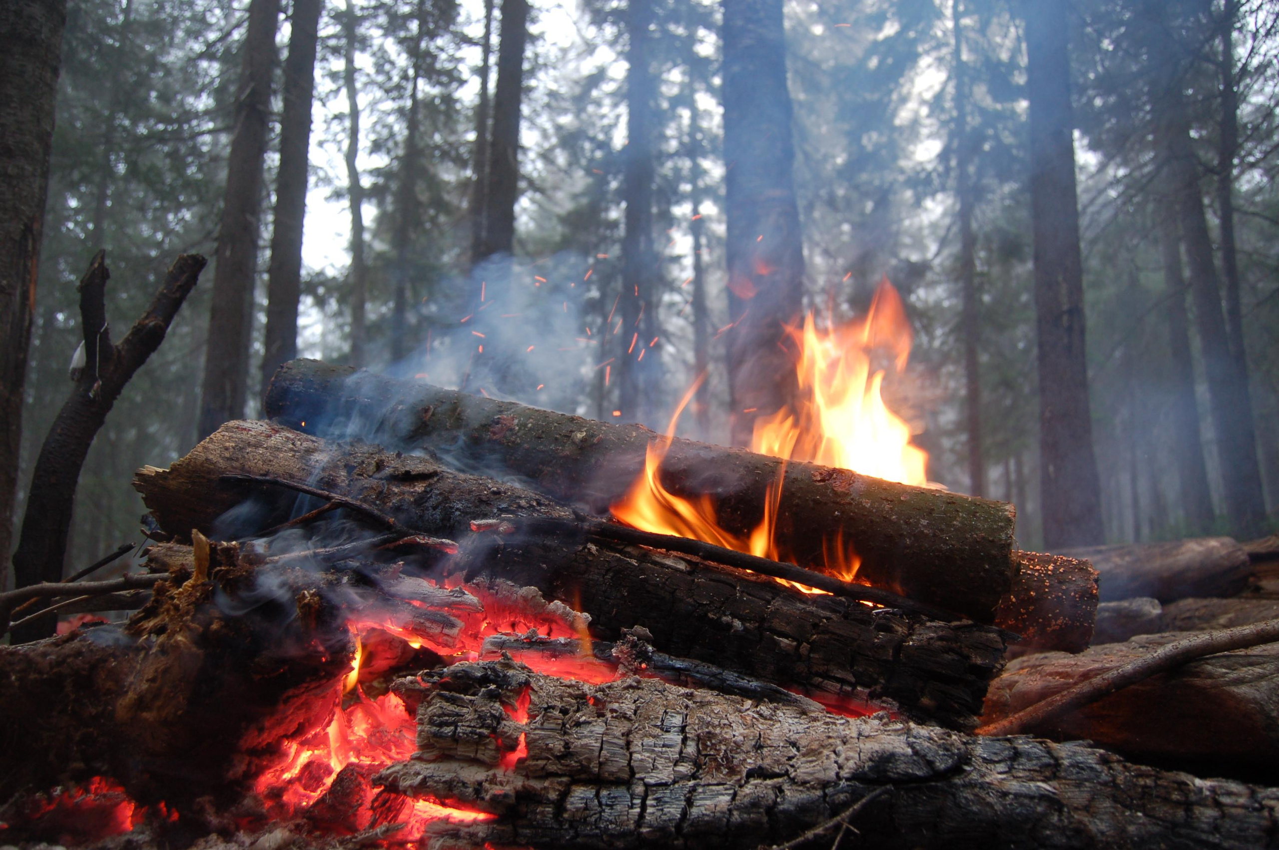 Гора Юрма. Фото и жизнь