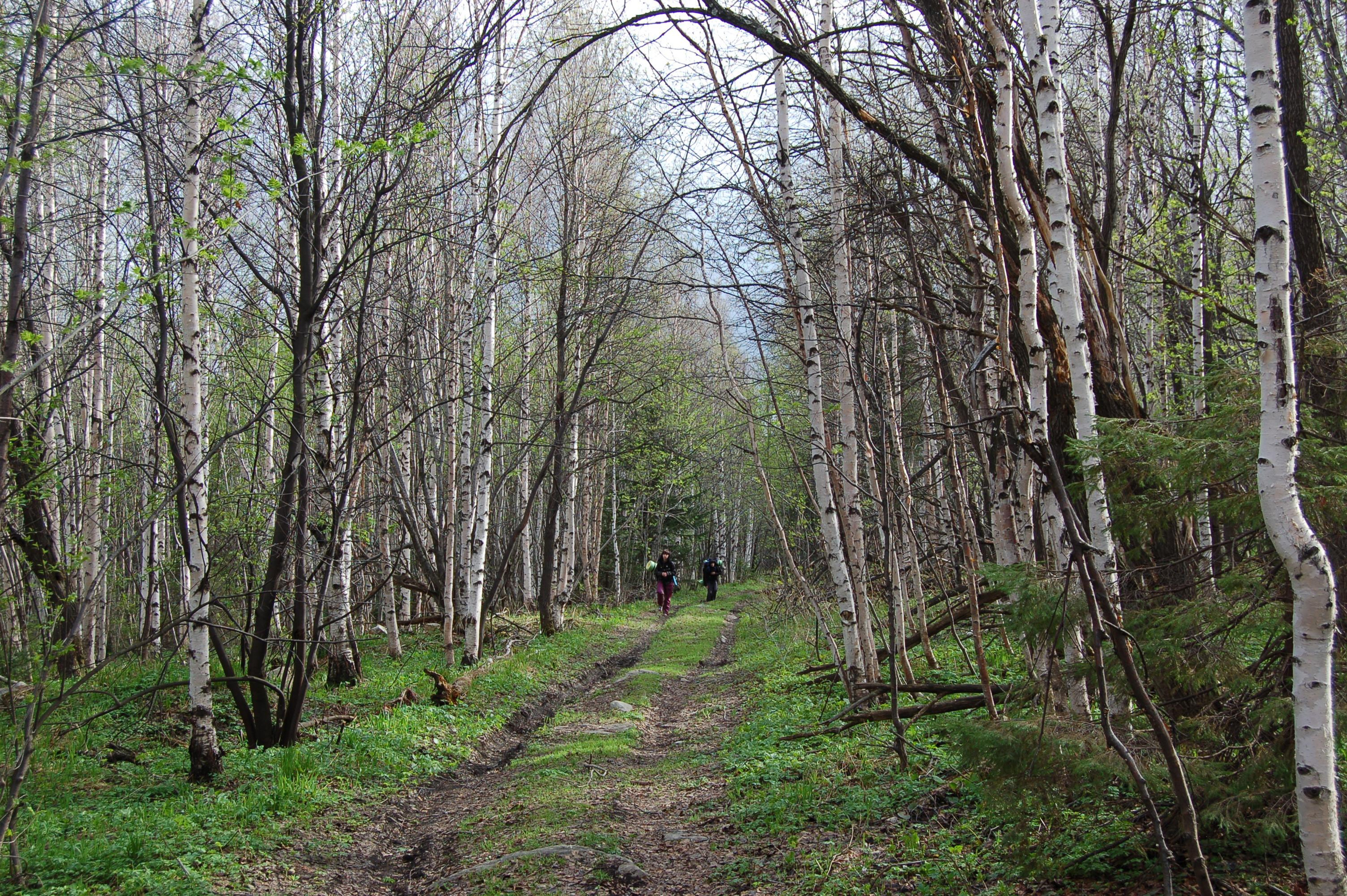 Гора Юрма. Фото и жизнь