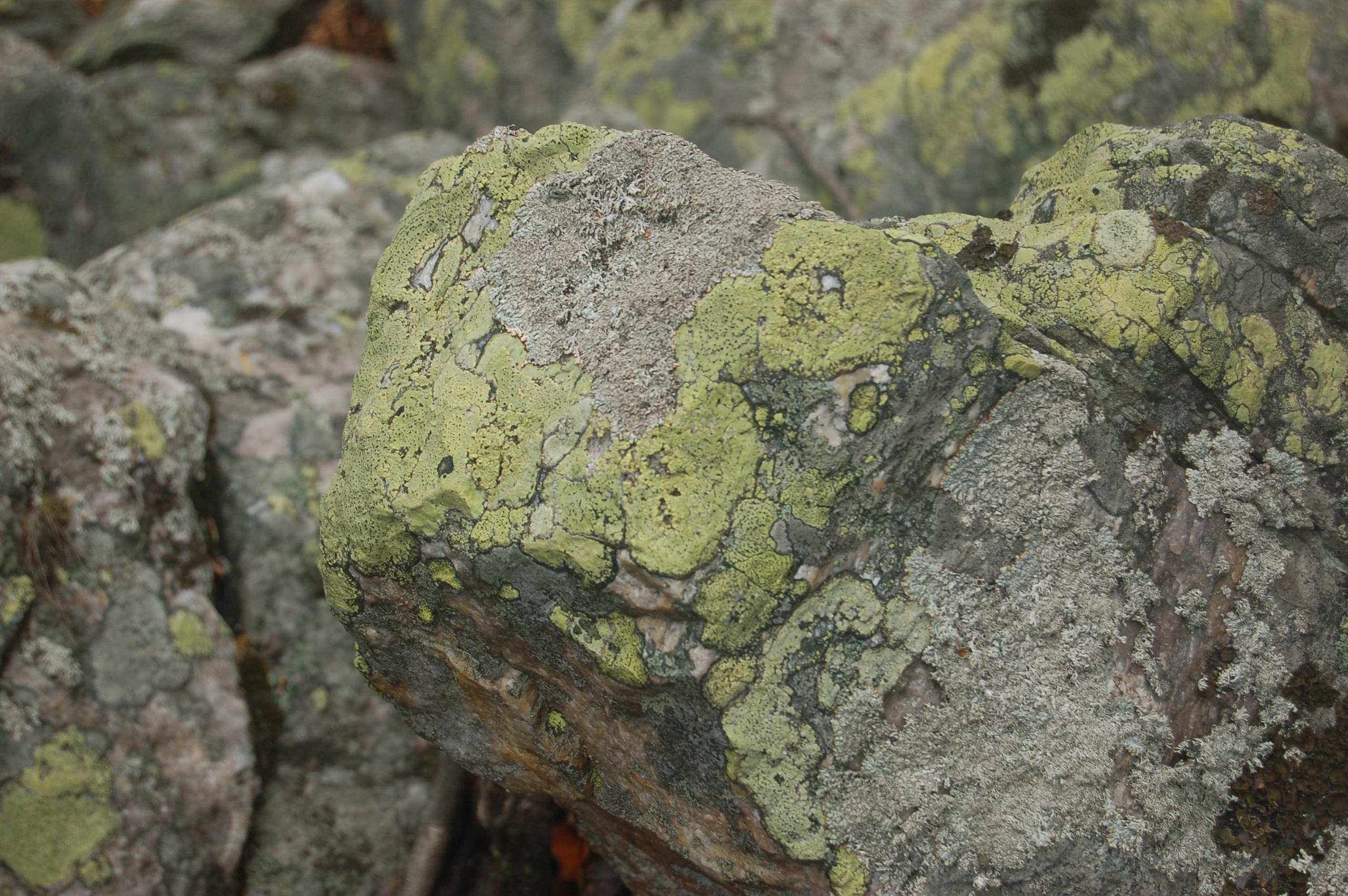 Гора Юрма. Фото и жизнь