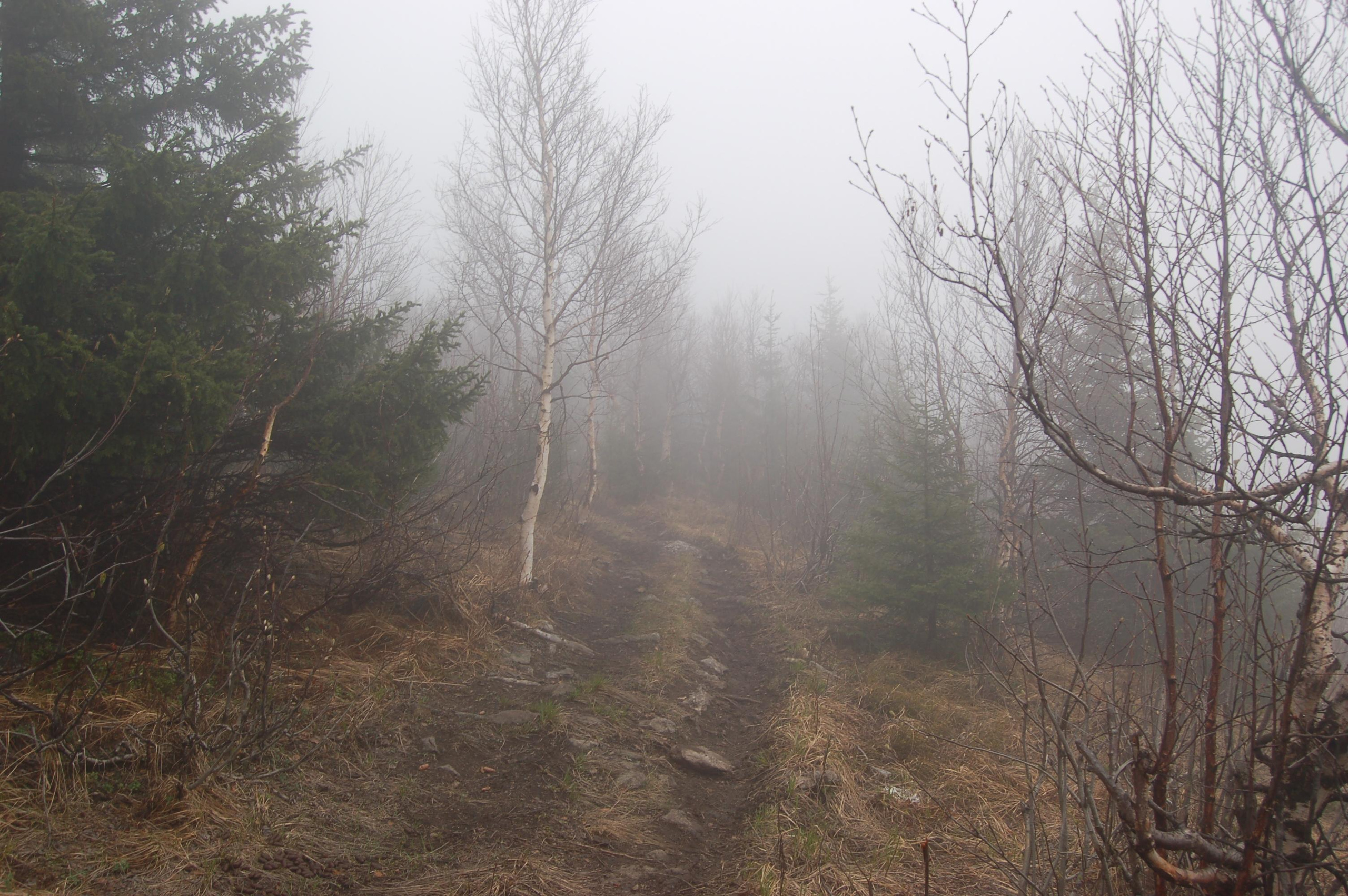 Гора Юрма. Фото и жизнь