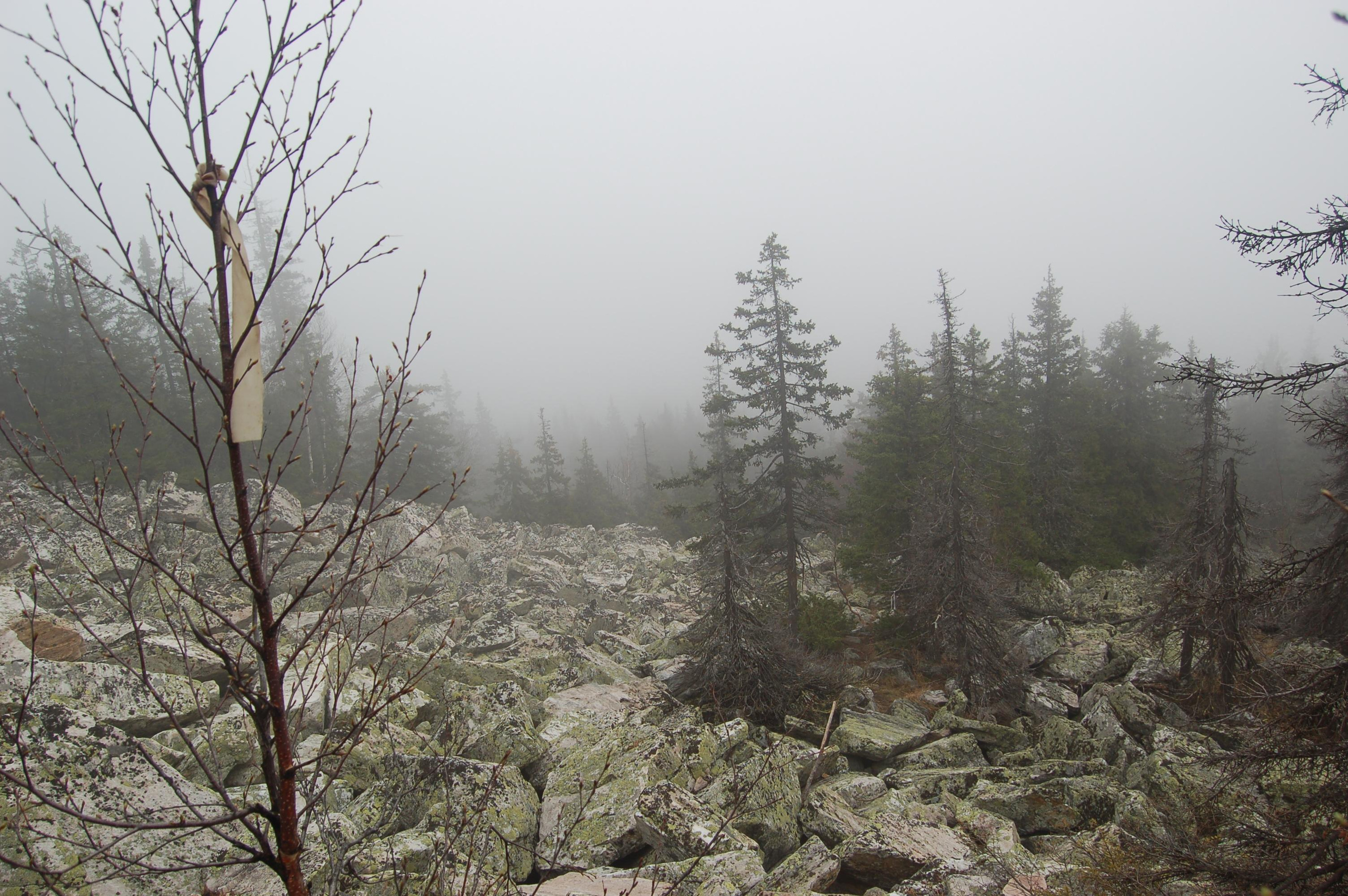 Гора Юрма. Фото и жизнь