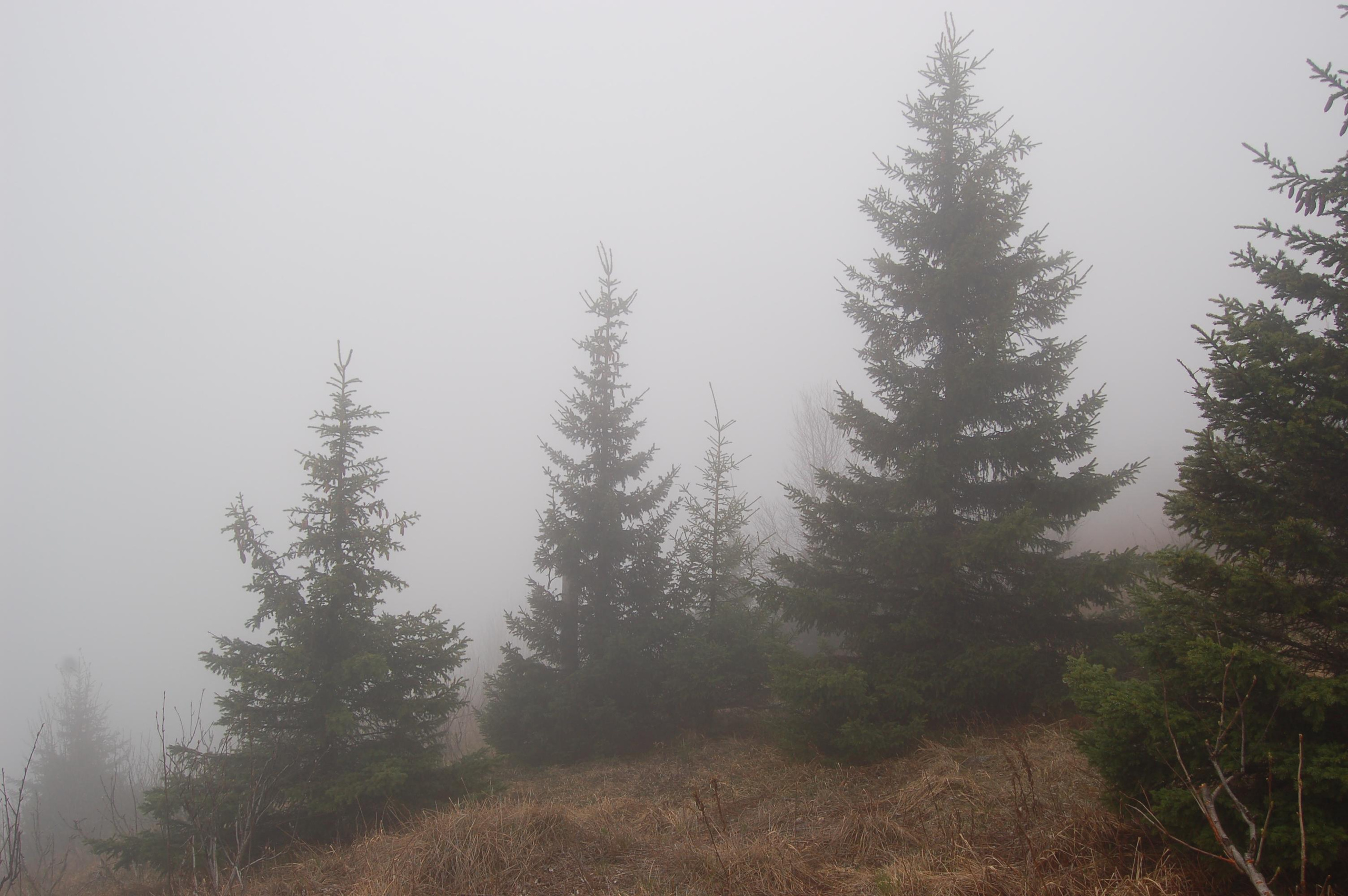 Гора Юрма. Фото и жизнь