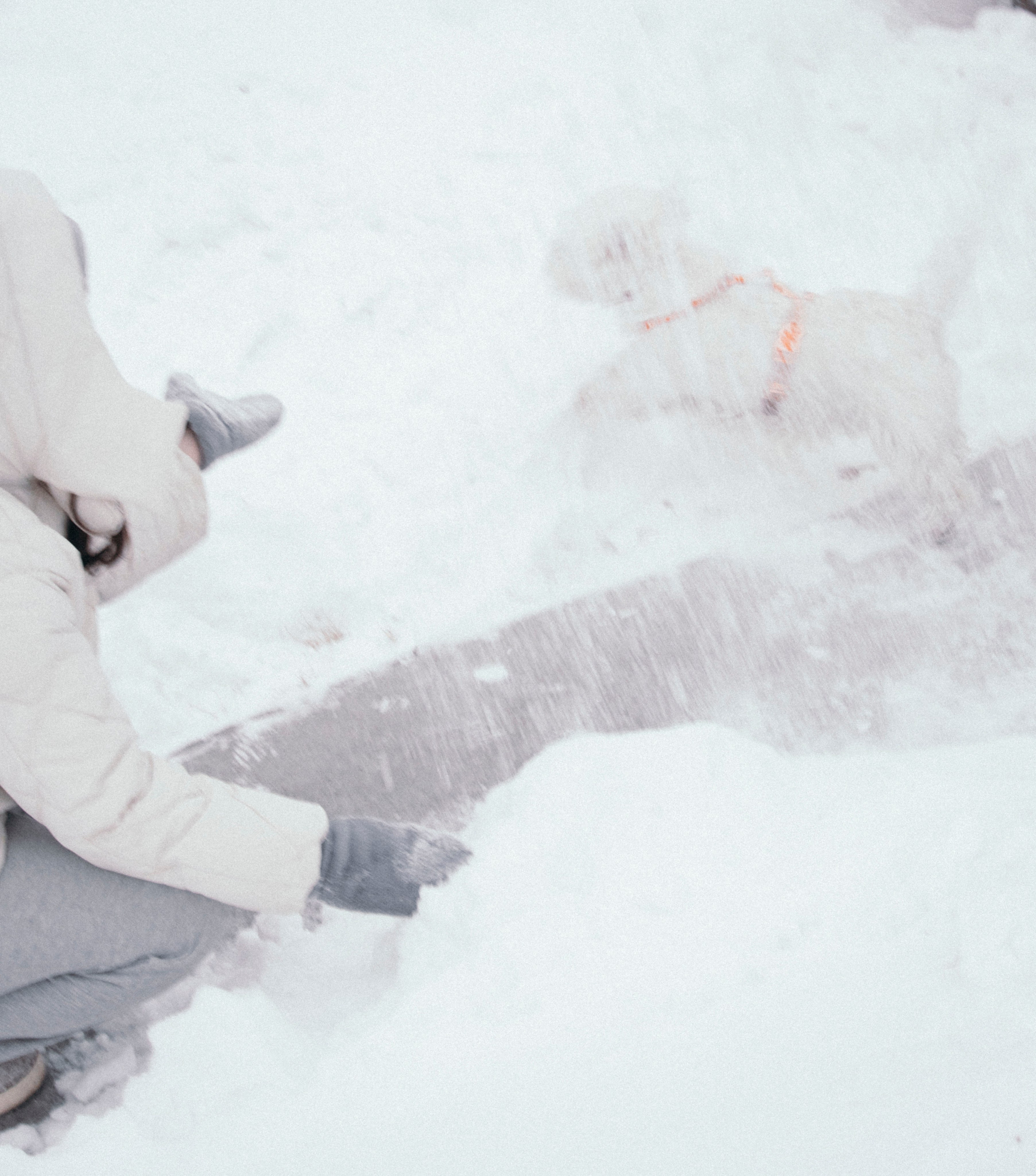 Арина и Обеликс. Фотограф Виктория Куприянова
