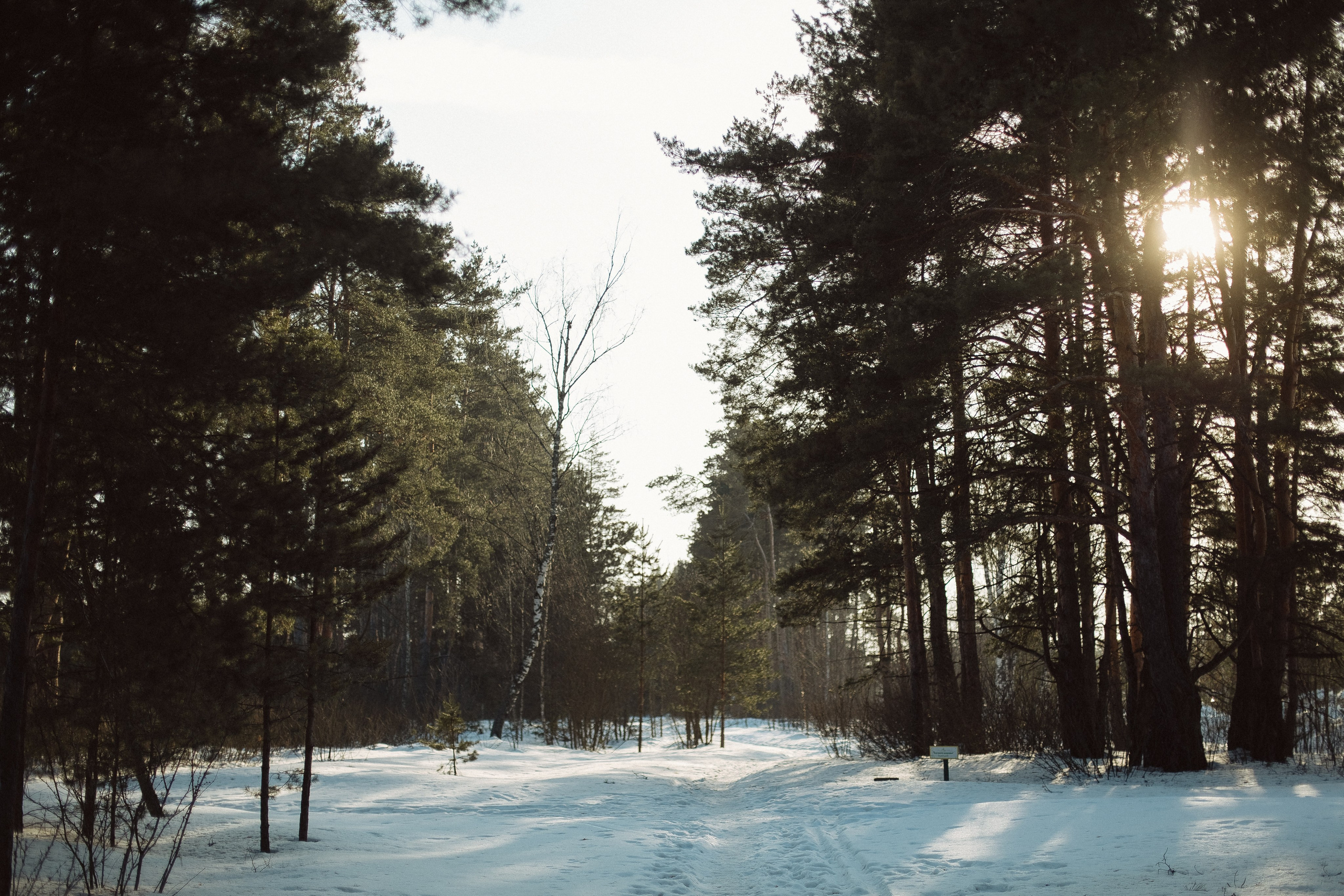 Экопарк ПОЛЯНЫ. Главная