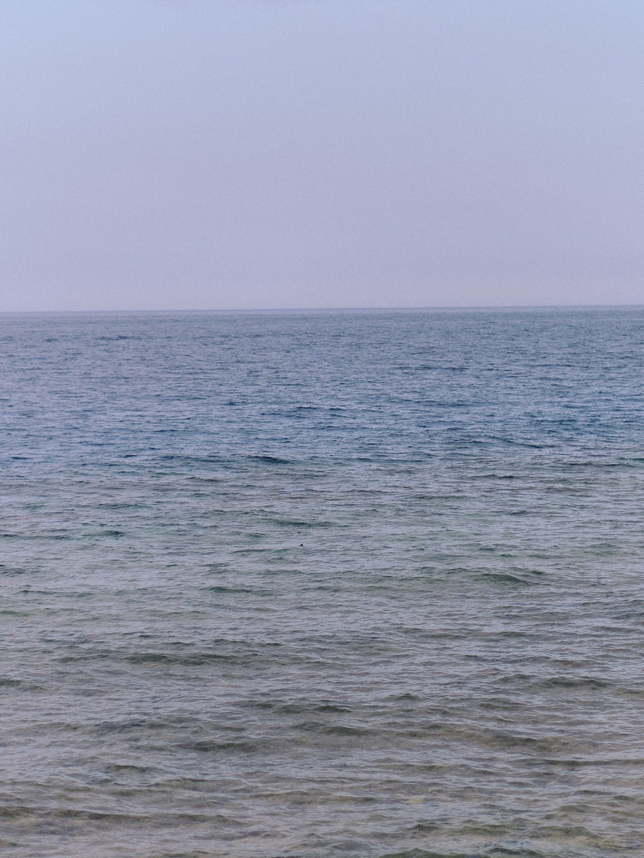 Другое 2. Jorgis Talè — photographer, kind person, teacher of arts and other mag