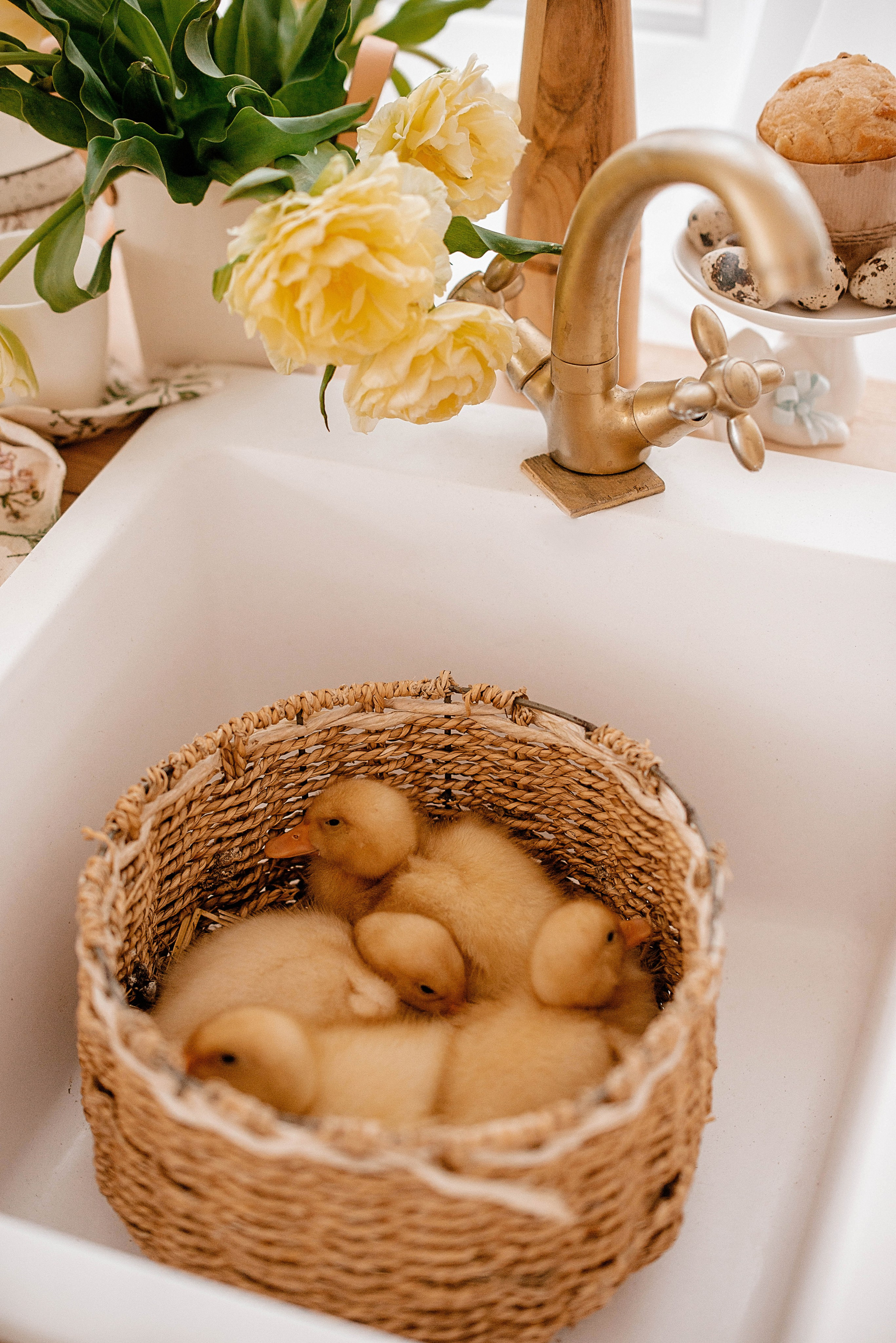 Семья. Свадебный Фотограф в Твери Анастасия Булкина