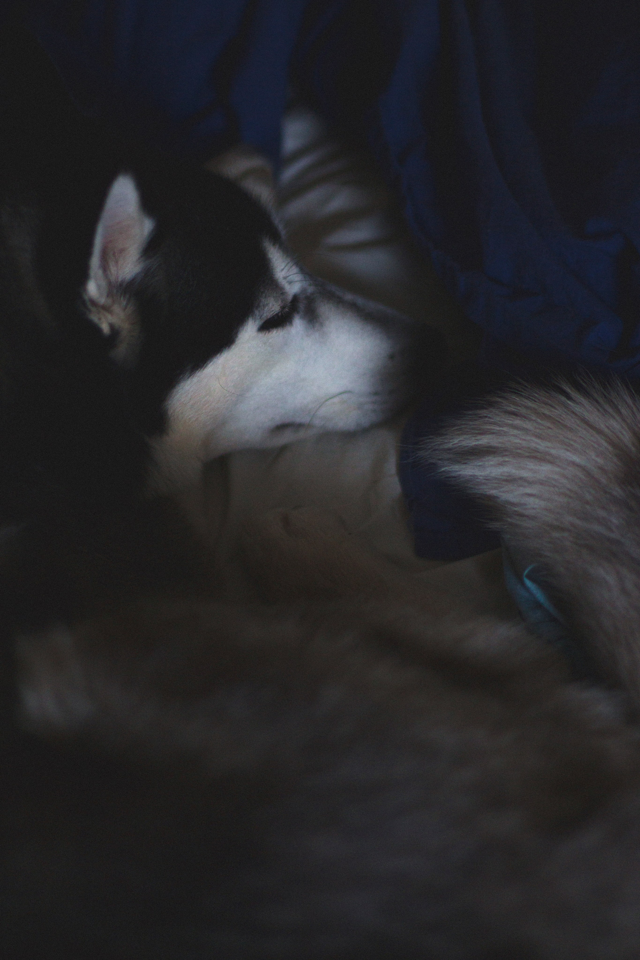 Марта. Фотограф Адигамова Юлия в Петербурге