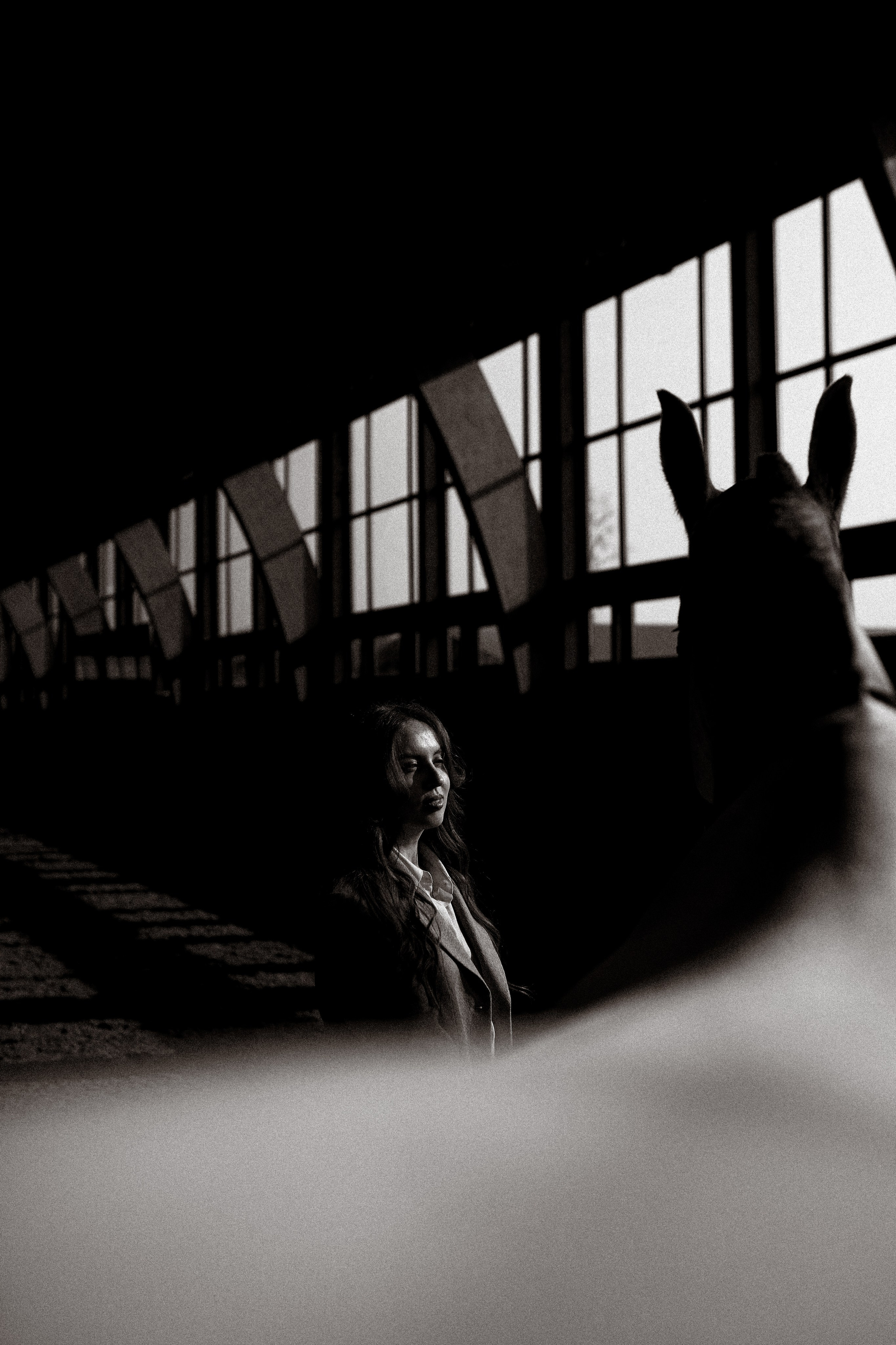 Женский портрет. Фотосессии с лошадьми в Москве, Новосибирске