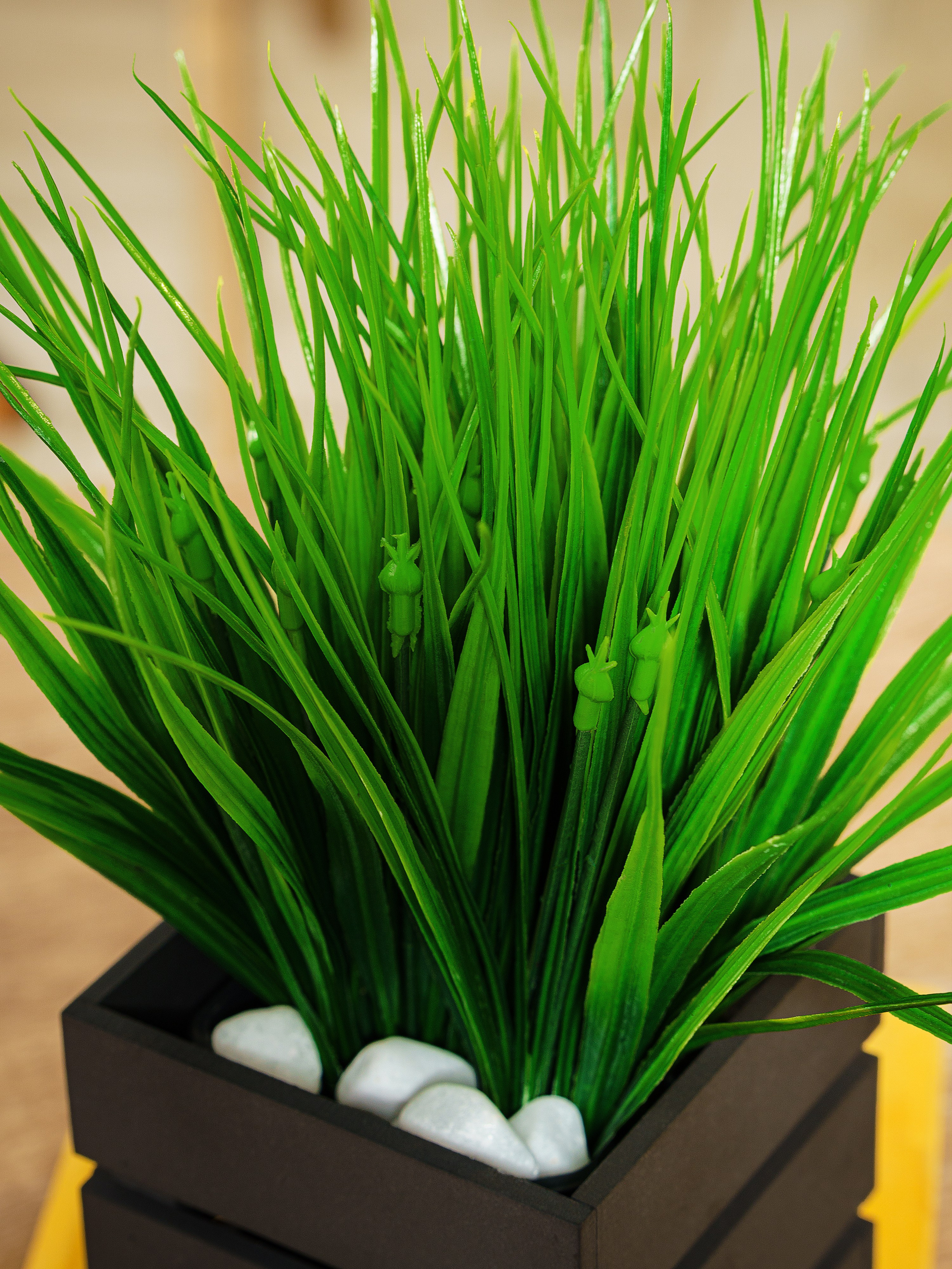 Кашпо. Макаров Сергей|Creamlebot Фотограф города Ростов-на-Дону