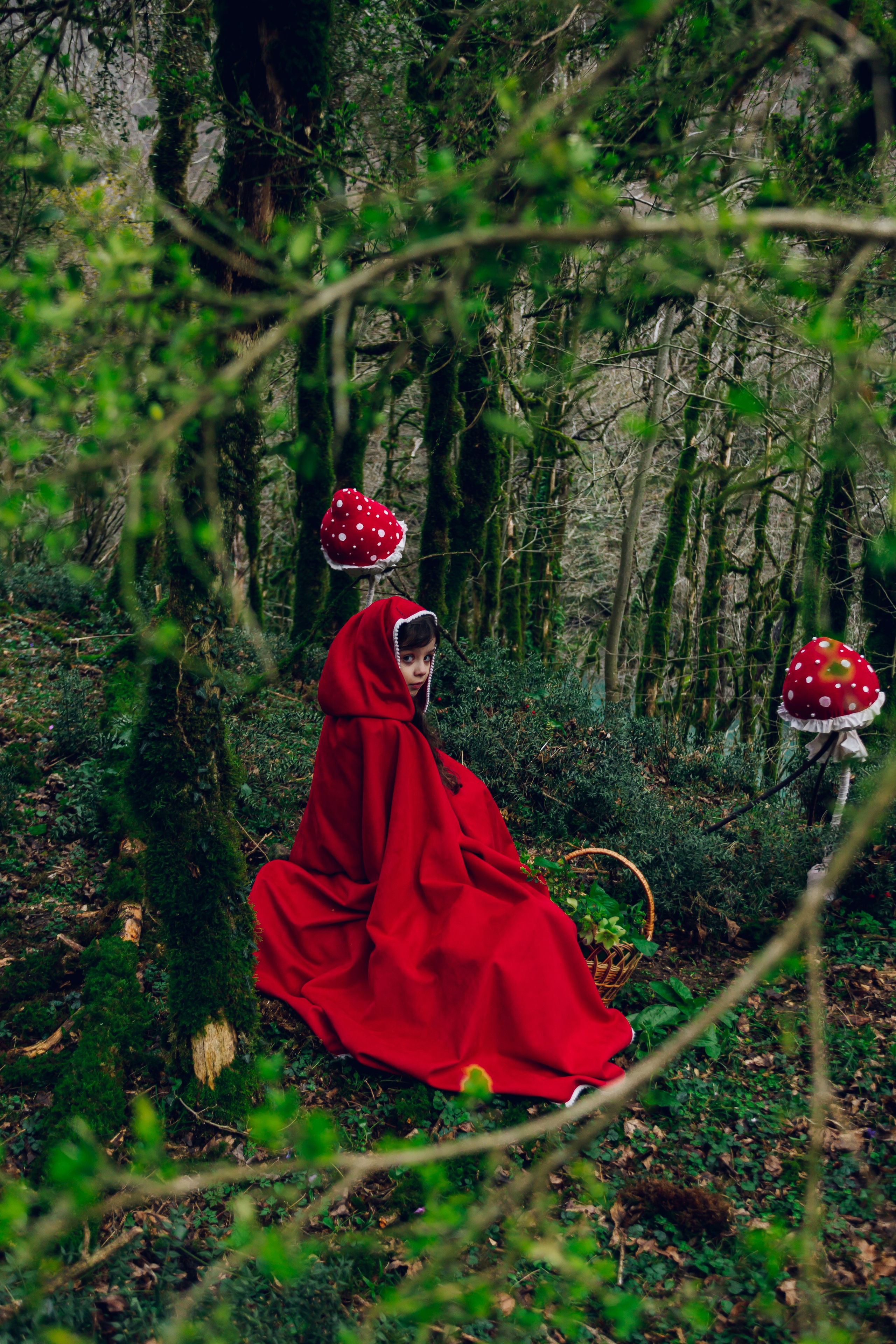 Самшитовая роща. Семейный и художественный фотограф в Тюмени Юлия Логинова