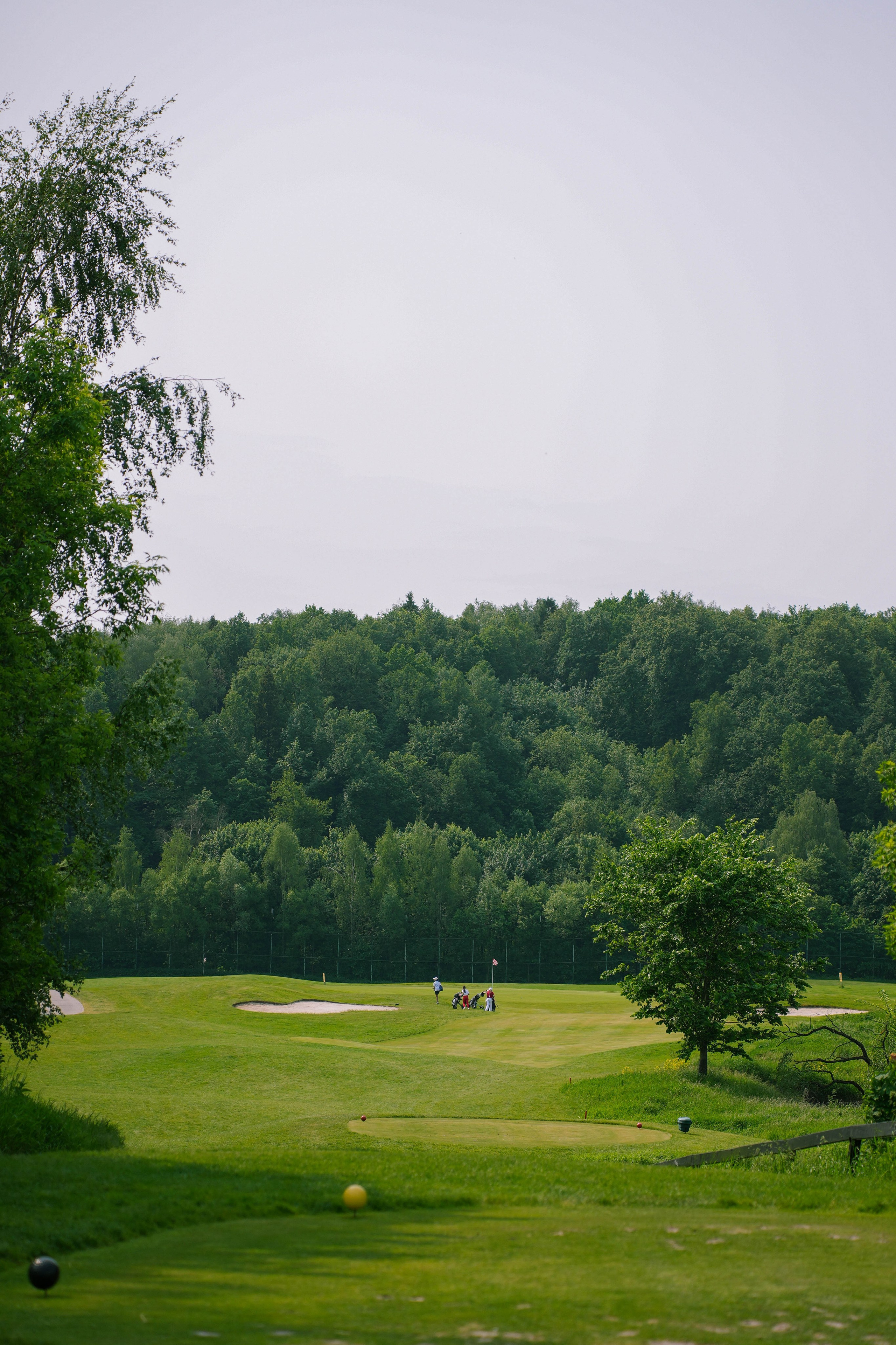 RGA Kids. Andrew firioubine • iamfirioubine