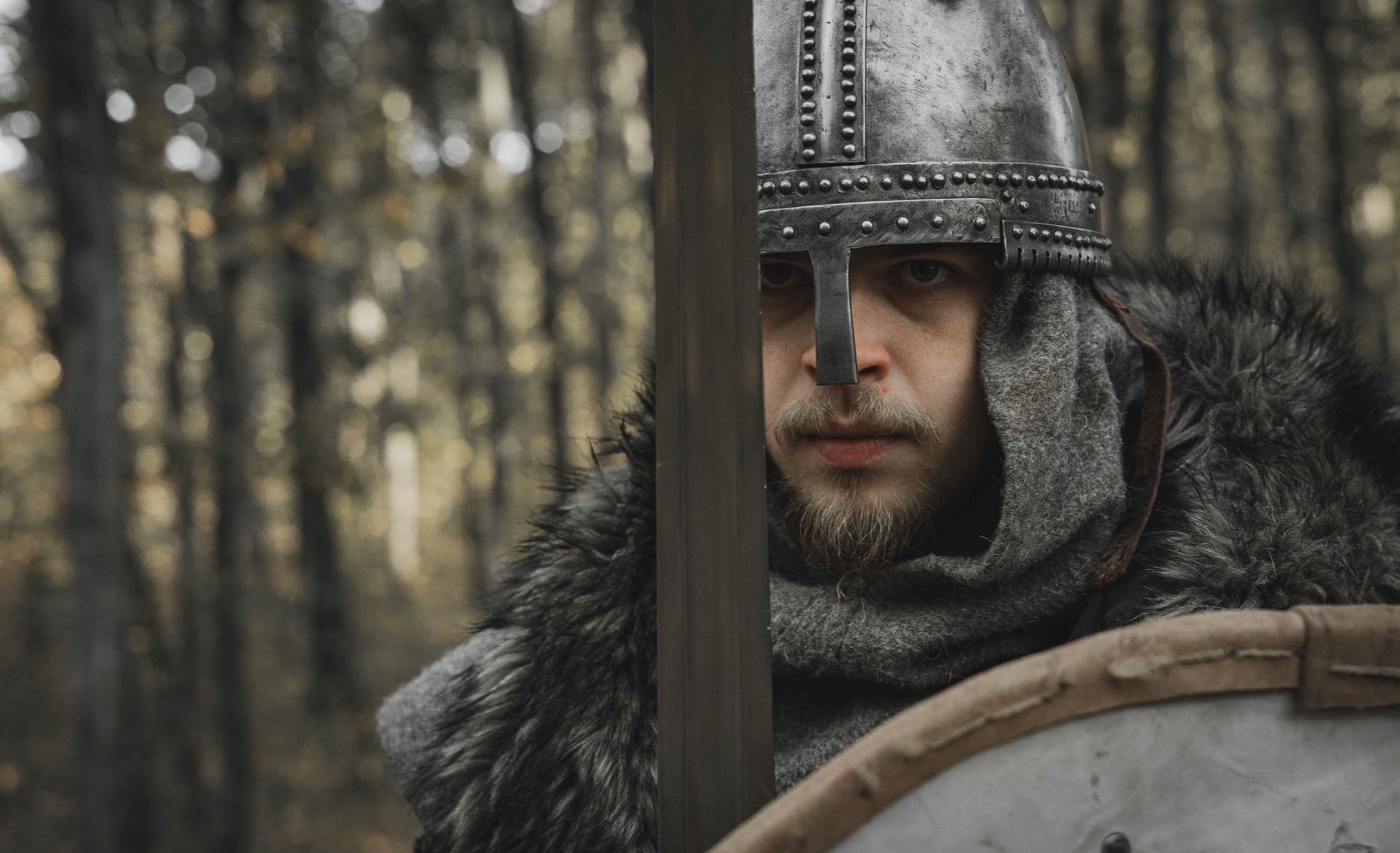 Викинг. Ab extra