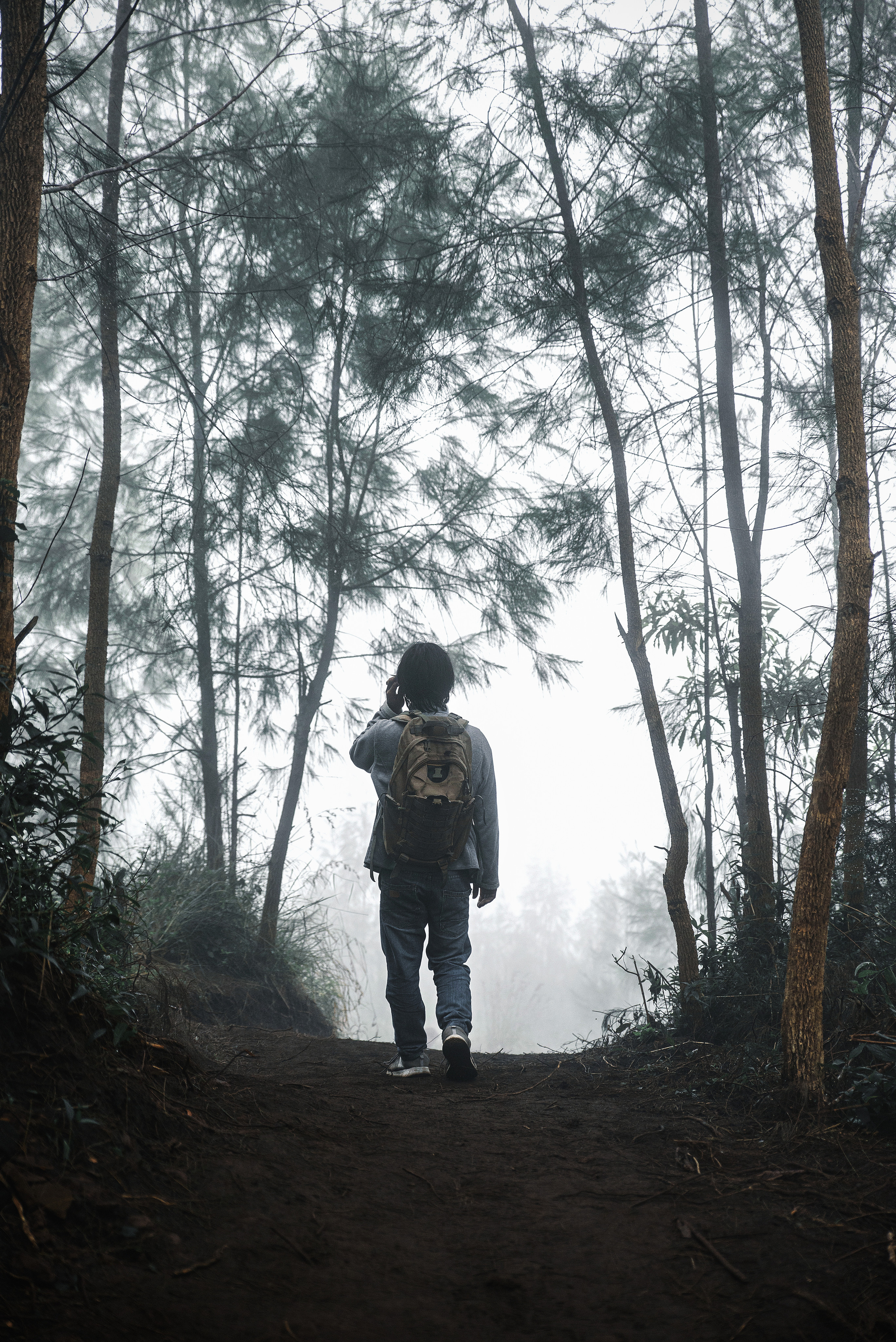 Атмосферные фотографии природы. Фотограф Москва Андриевский Максим, обучение фотографии