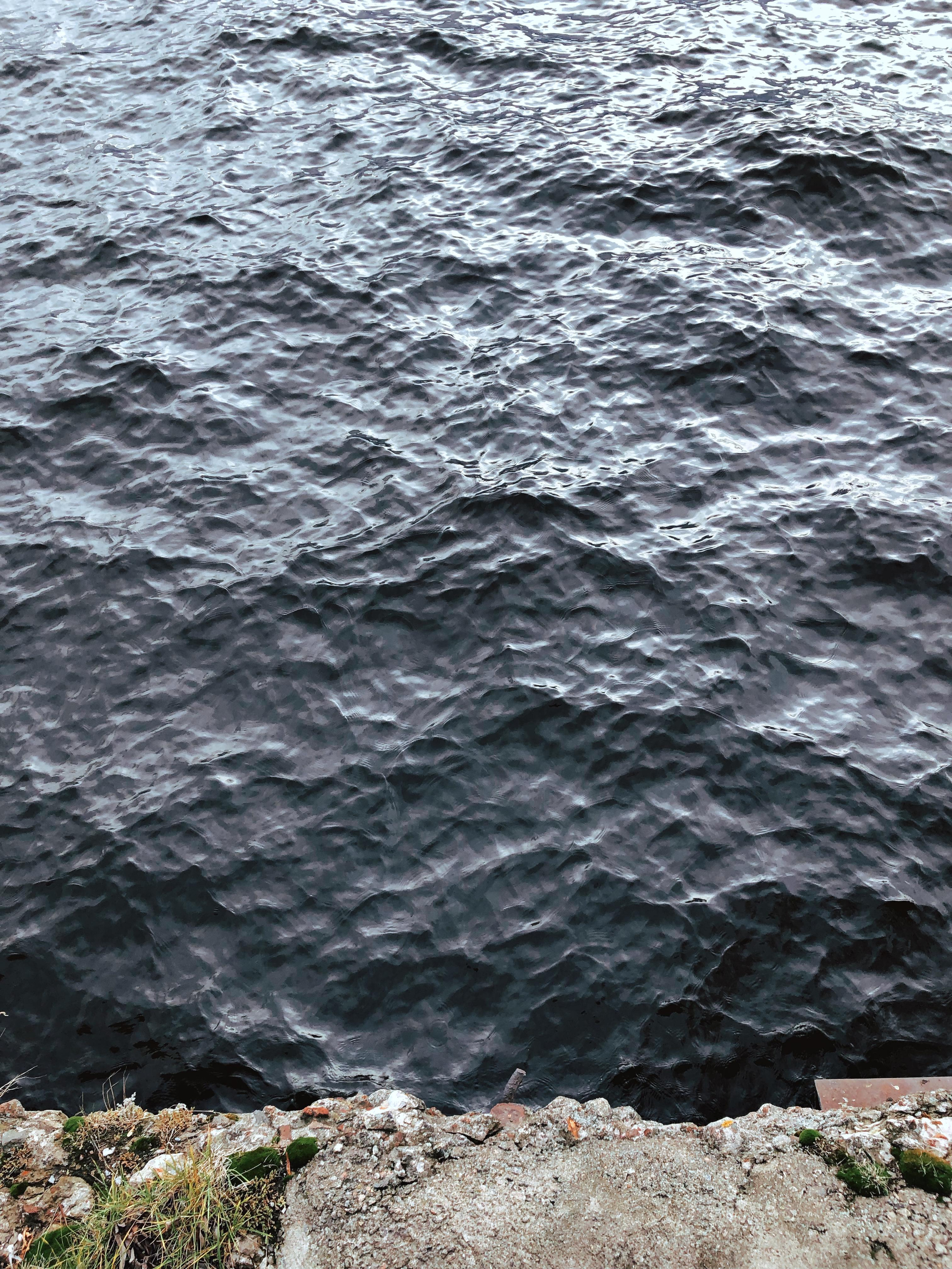 Фотографии на телефон. Фотограф Москва Андриевский Максим, обучение фотографии