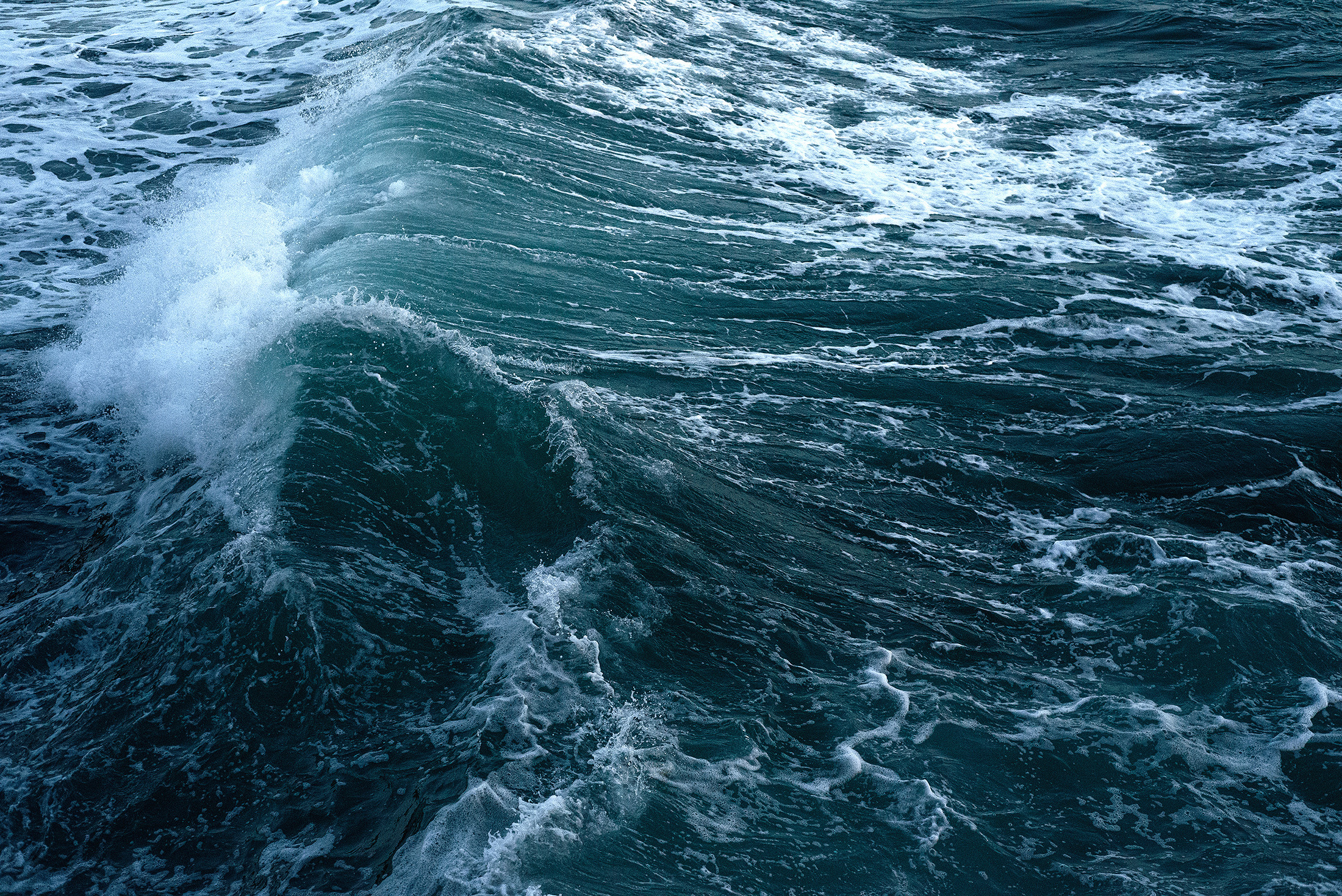 Атмосферные фотографии природы. Фотограф Москва Андриевский Максим, обучение фотографии