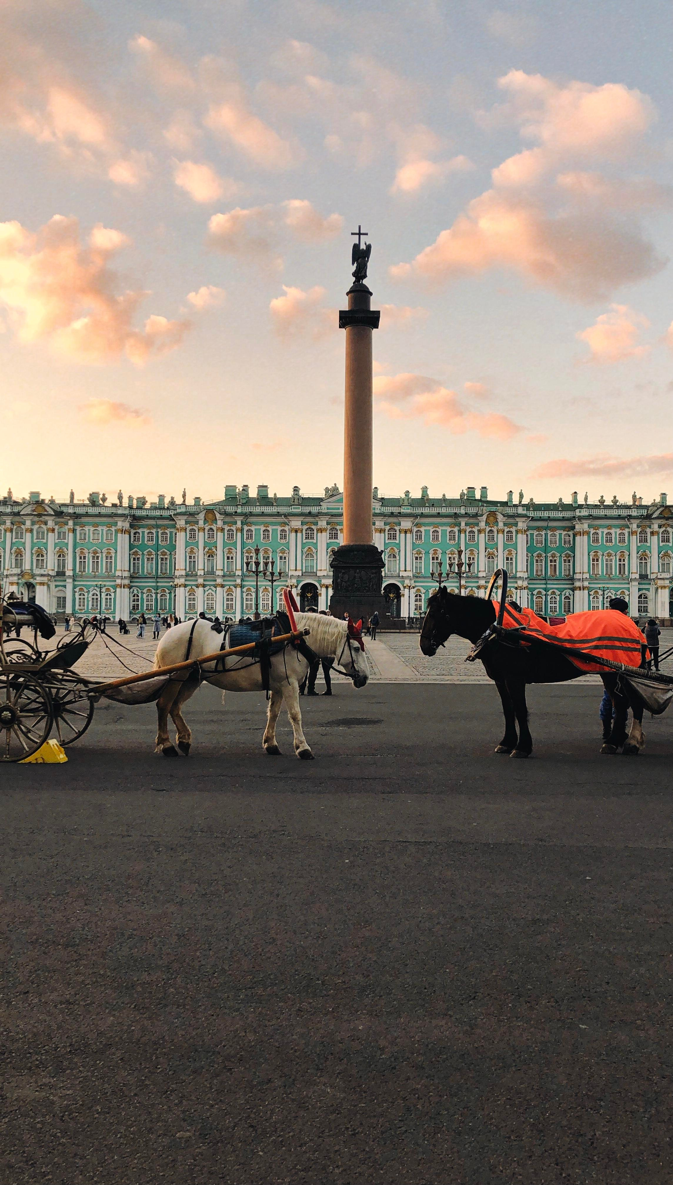 Фотографии на телефон. Фотограф Москва Андриевский Максим, обучение фотографии