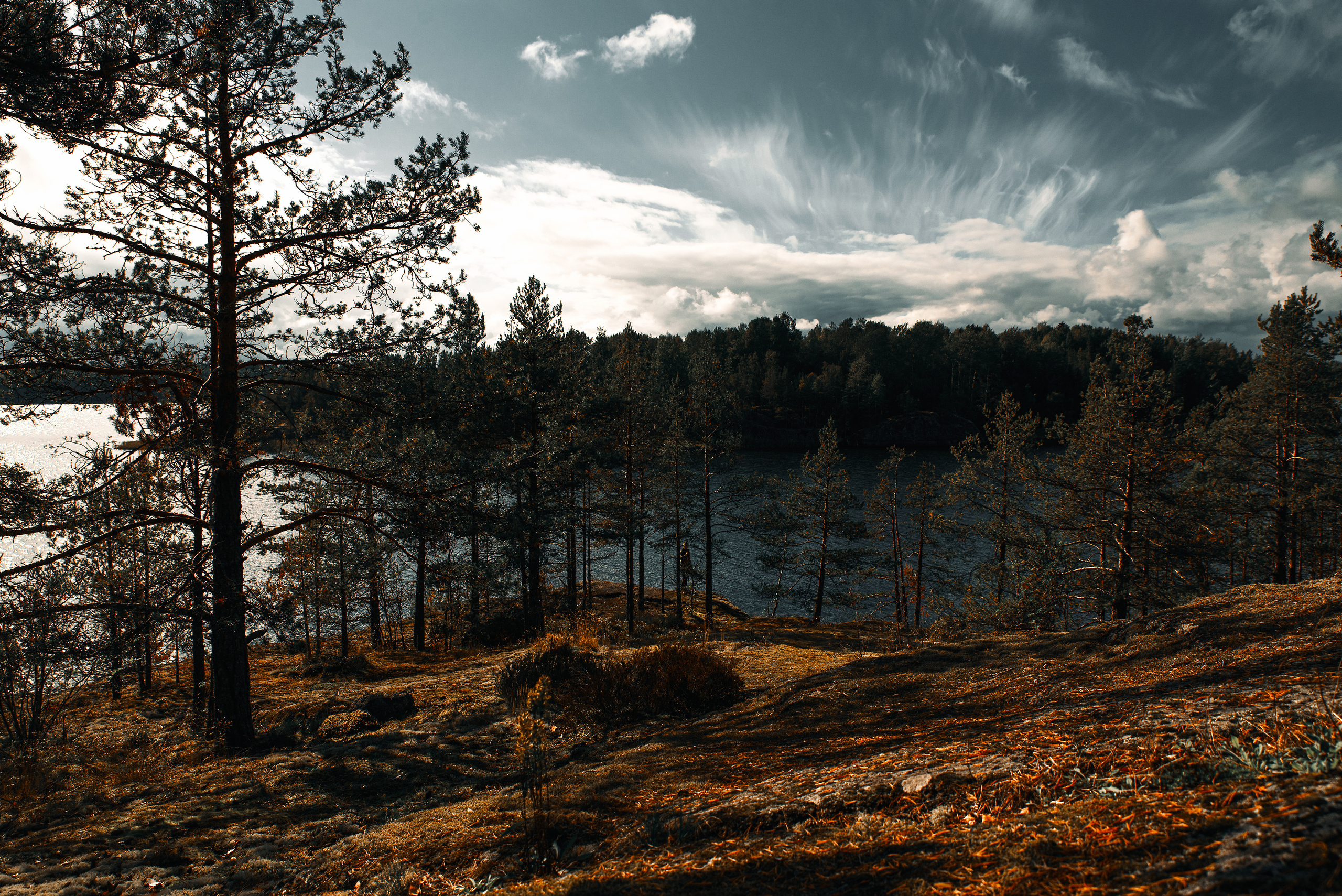 Атмосферные фотографии природы. Фотограф Москва Андриевский Максим, обучение фотографии