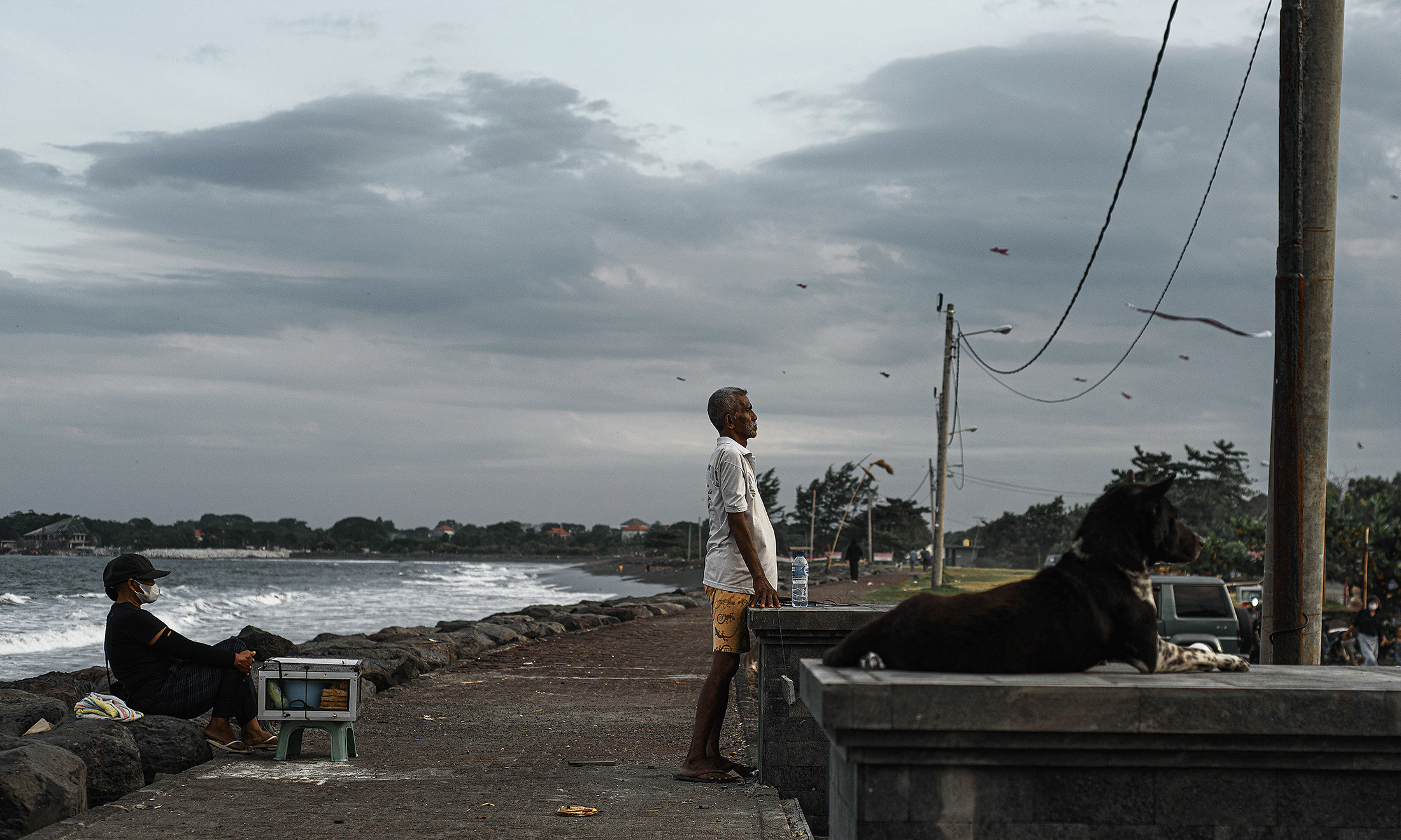 Атмосферные фотографии природы. Фотограф Москва Андриевский Максим, обучение фотографии