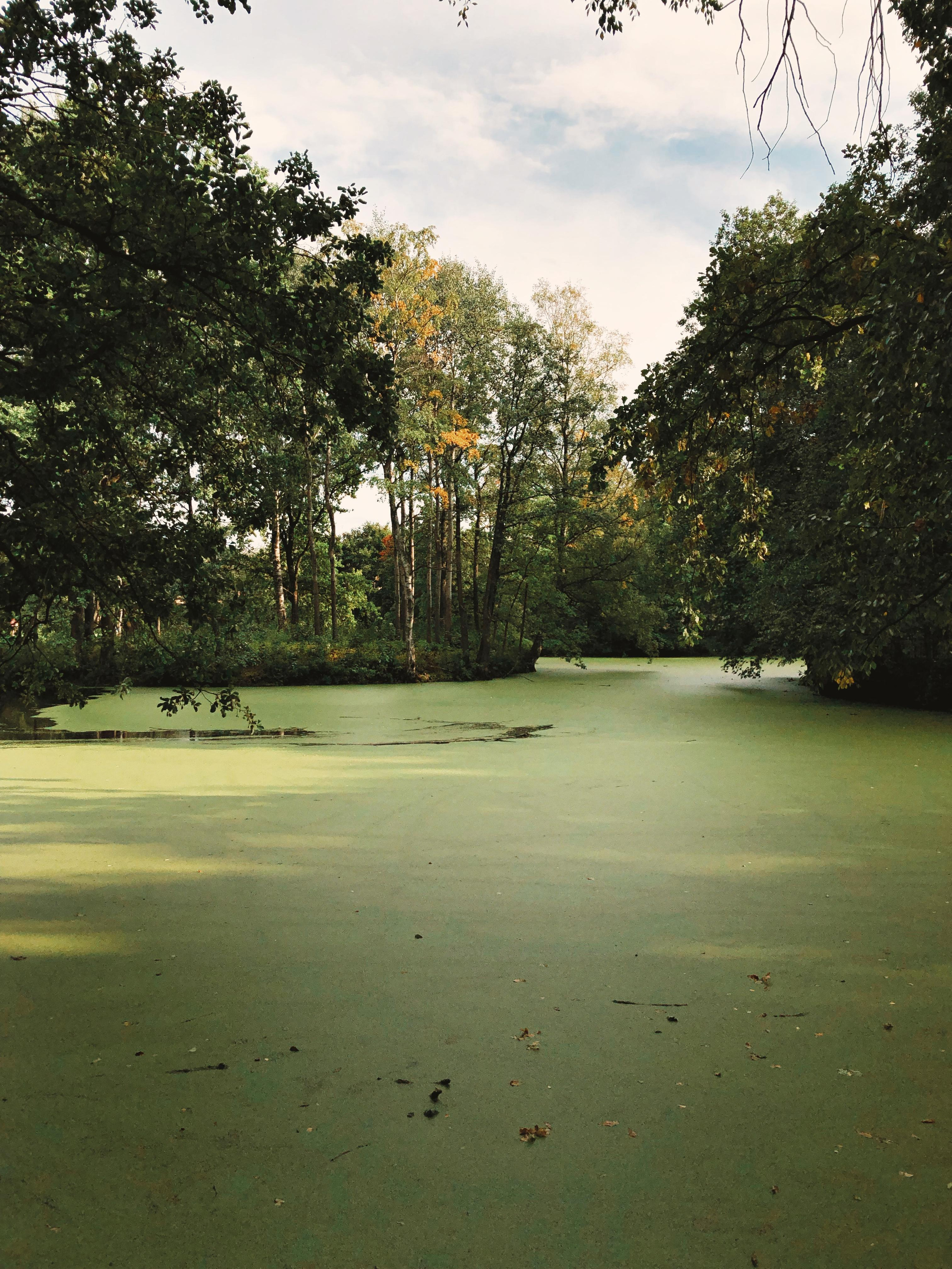 Фотографии на телефон. Фотограф Москва Андриевский Максим, обучение фотографии
